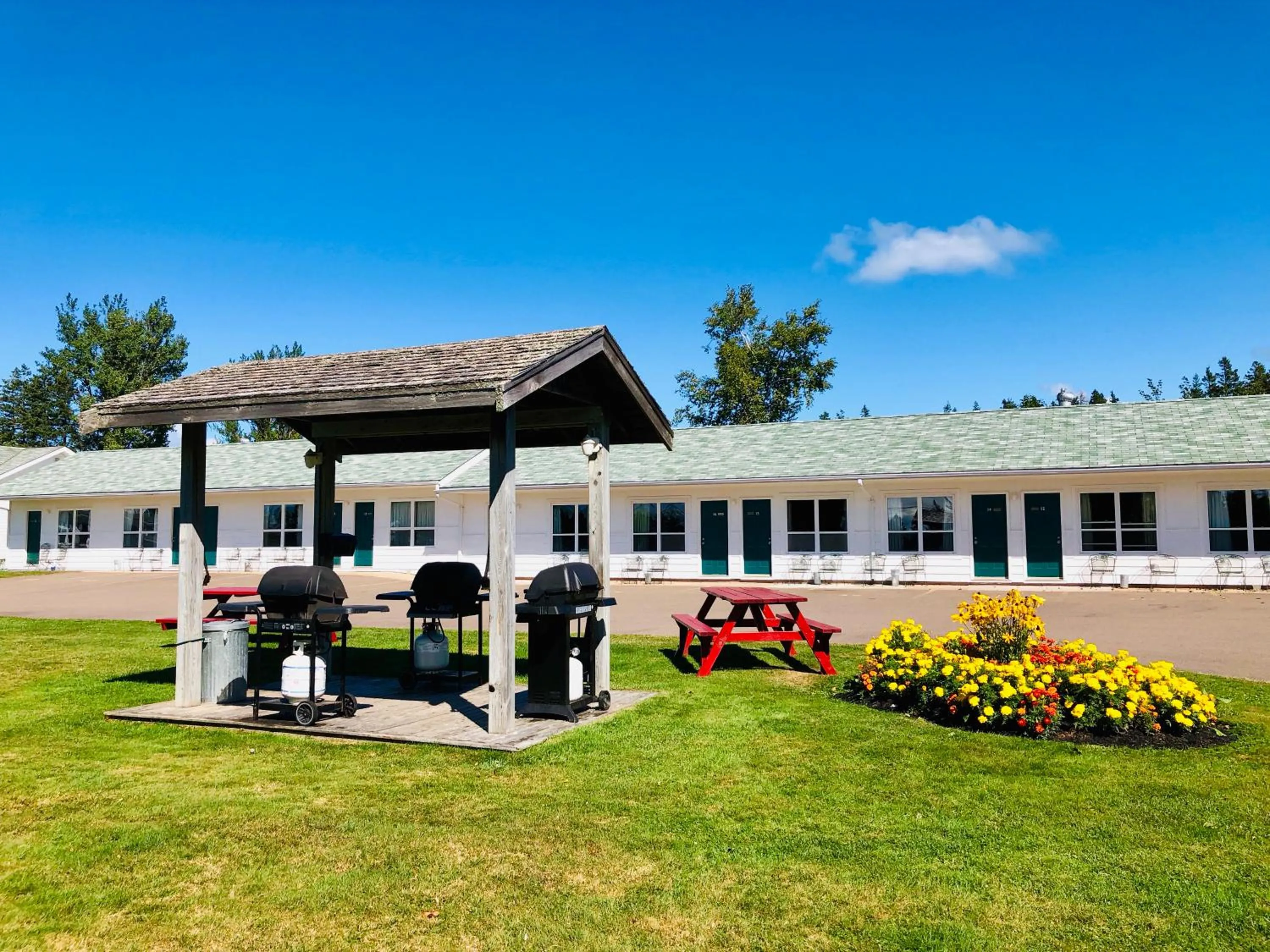 BBQ facilities in Anne Shirley Motel & Cottages