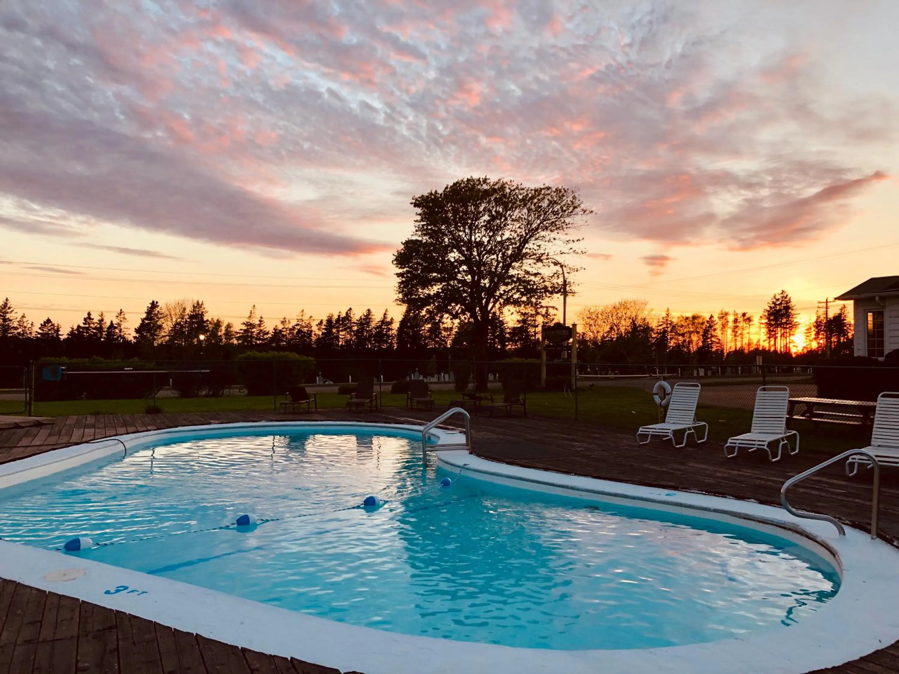 Natural landscape in Anne Shirley Motel & Cottages