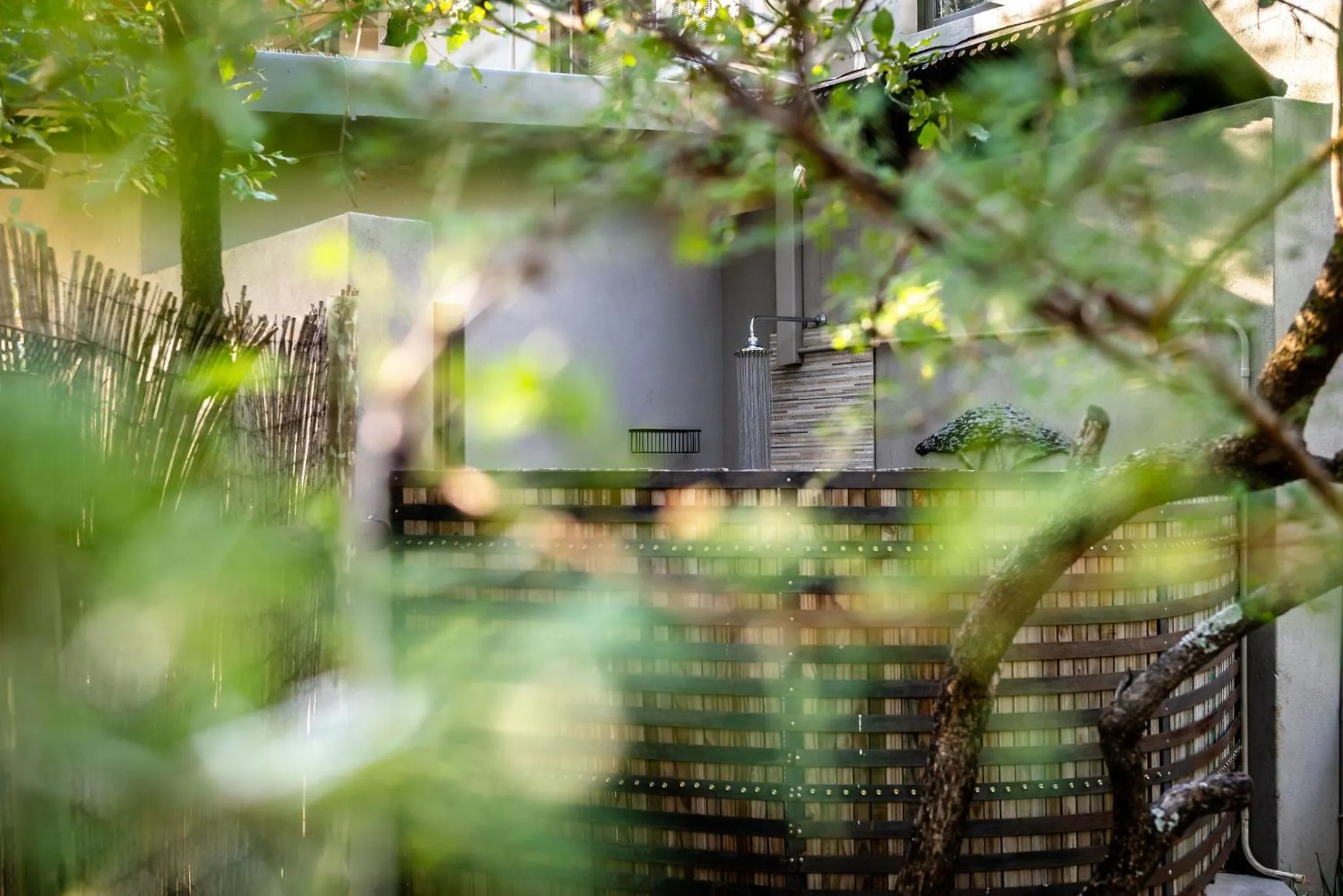 Natural landscape in Rafiki Bush Lodge