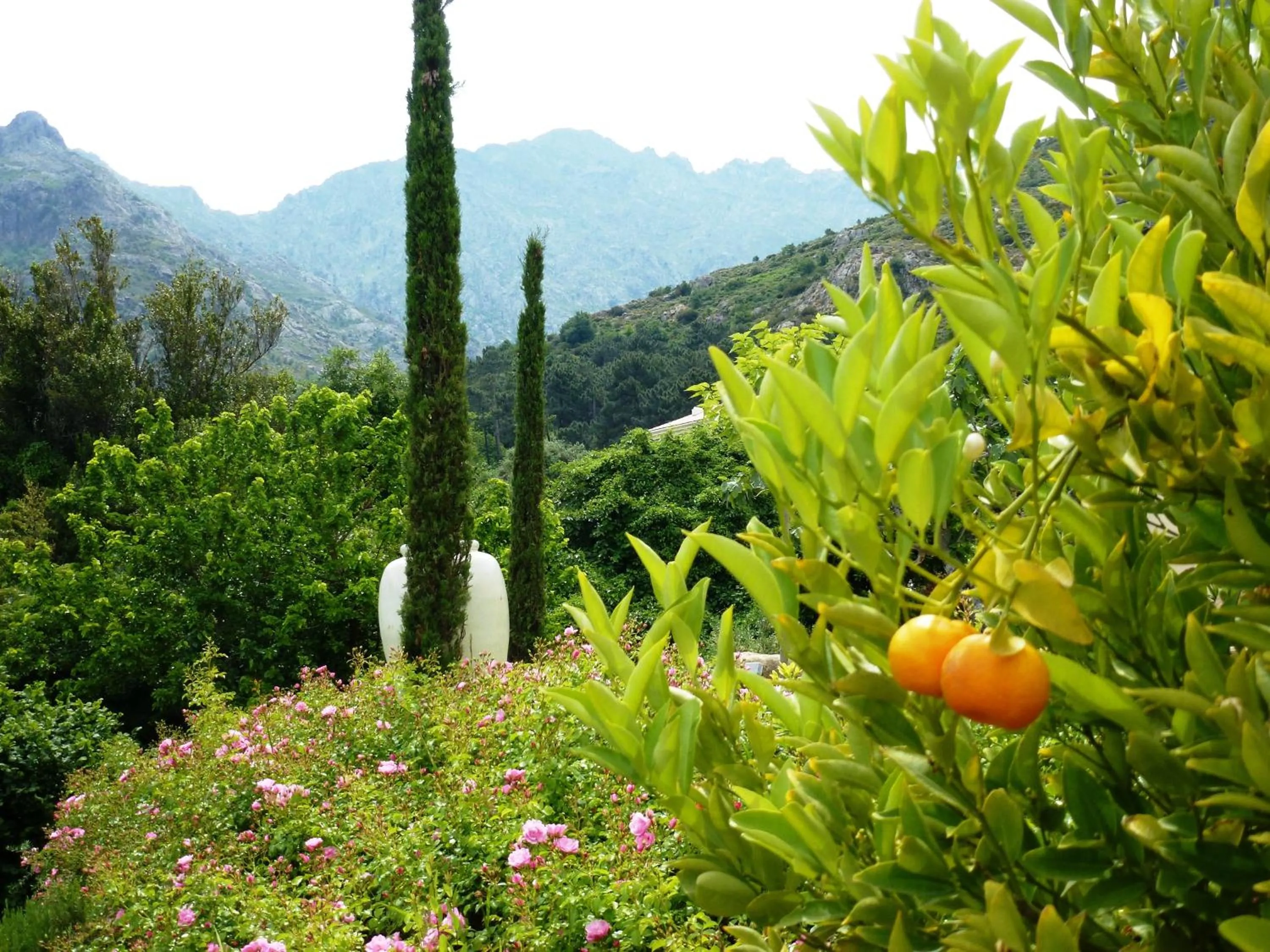 Garden in Cas'Anna Lidia - Hôtel De Charme