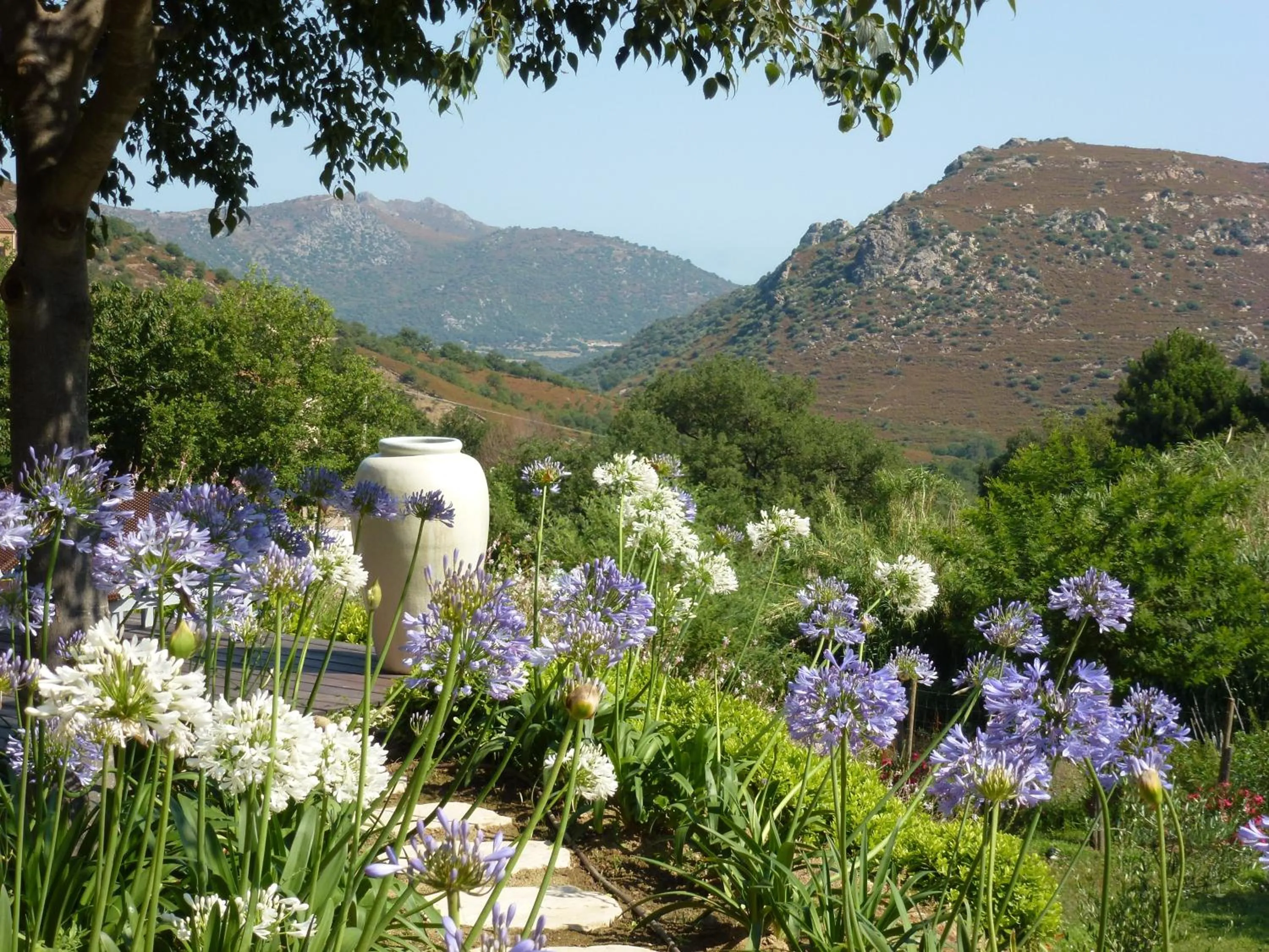 Garden in Cas'Anna Lidia - Hôtel De Charme