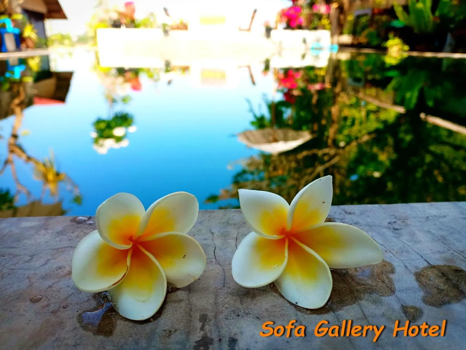 Restaurant/places to eat in Sofa Gallery Hotel