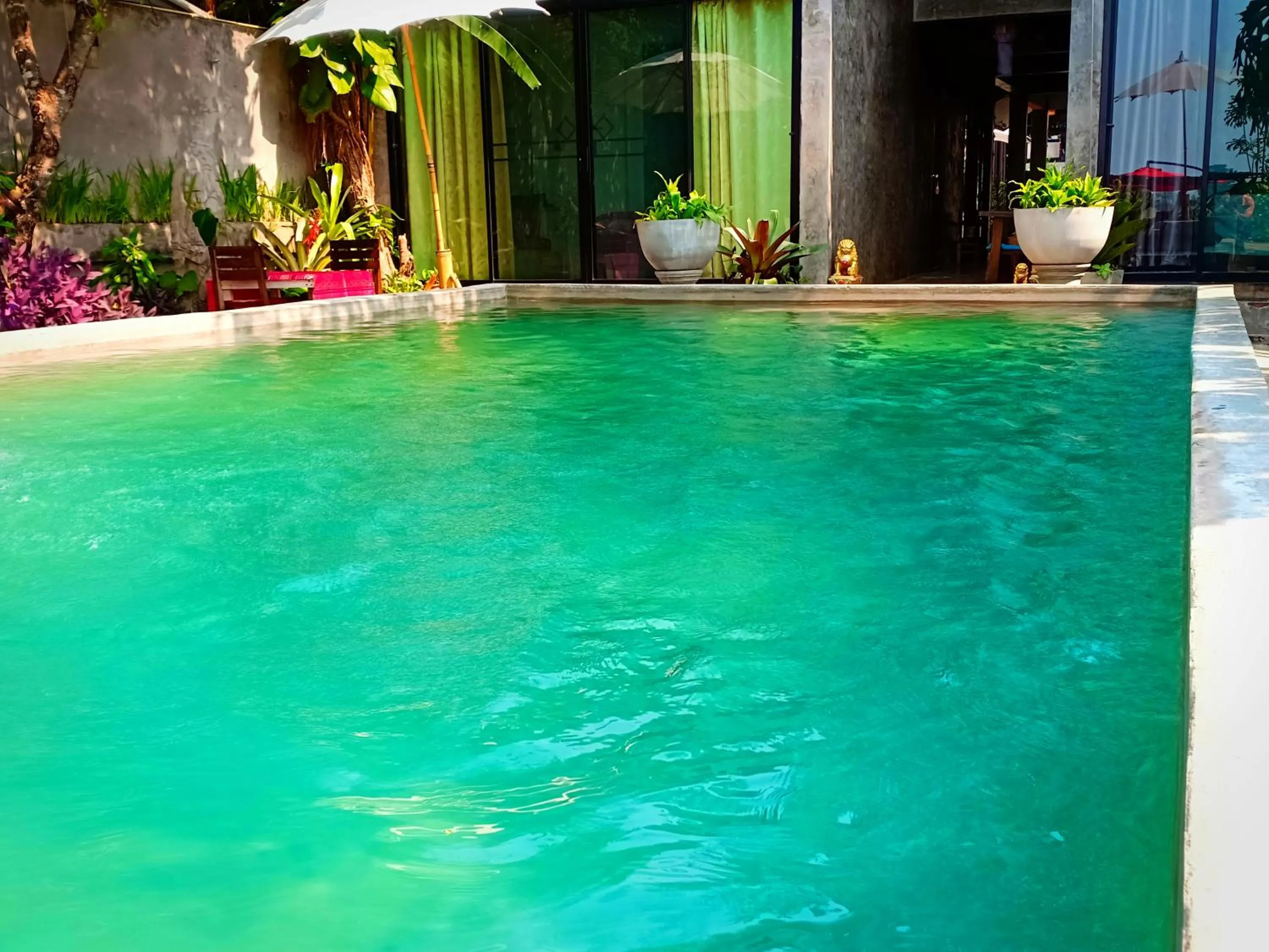 Swimming pool in Sofa Gallery Hotel