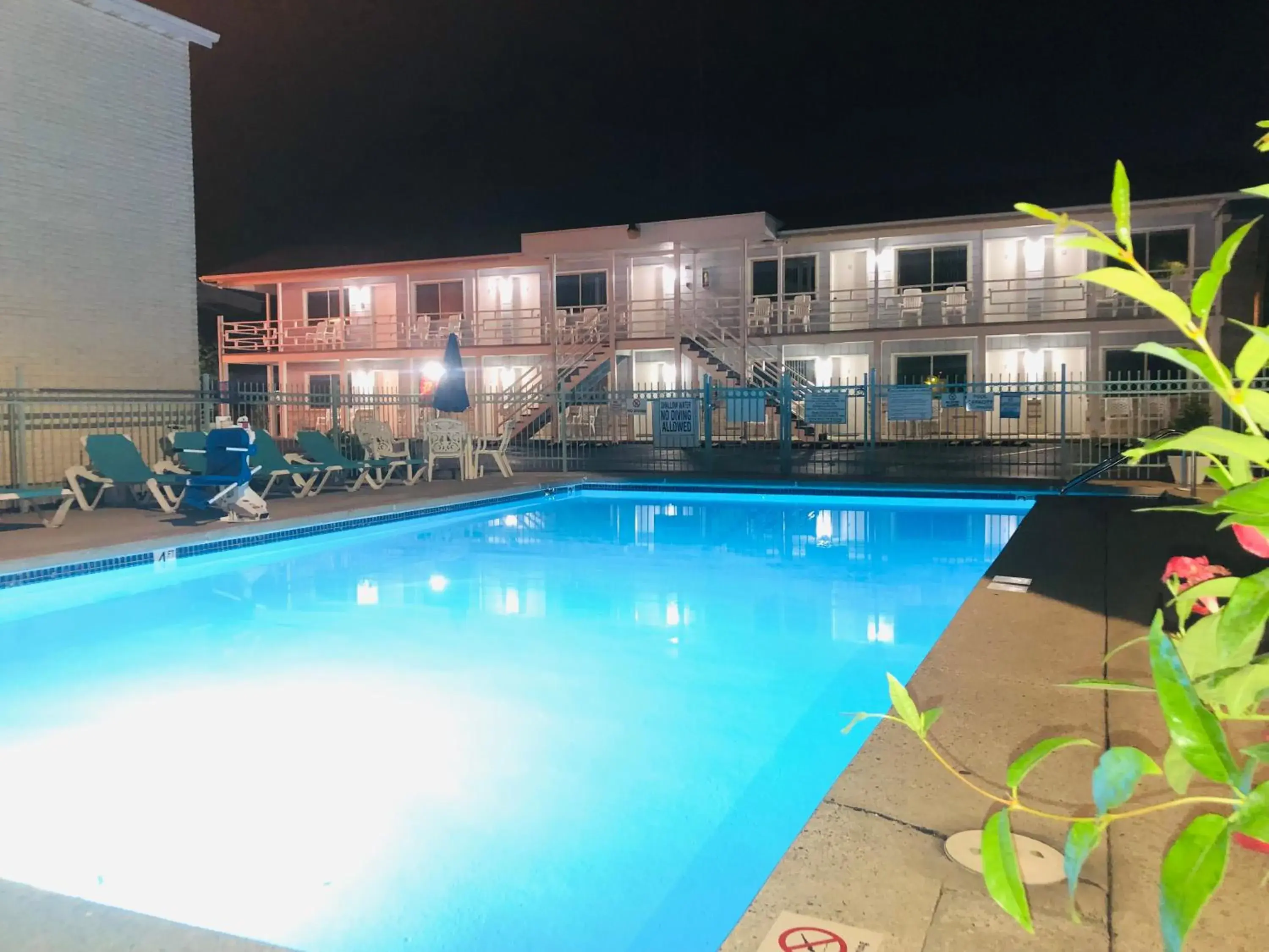 Starlite Motel Starlite Motel