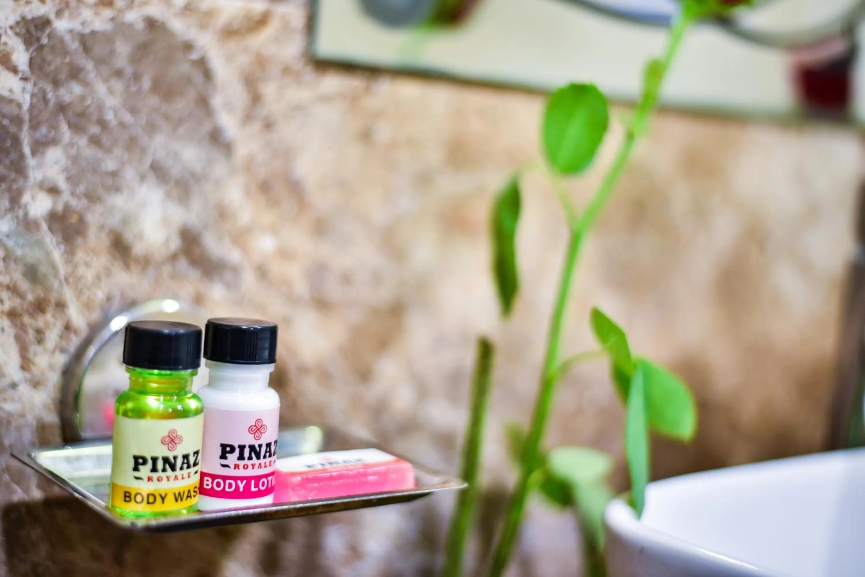 Shower in Pinaz Royale