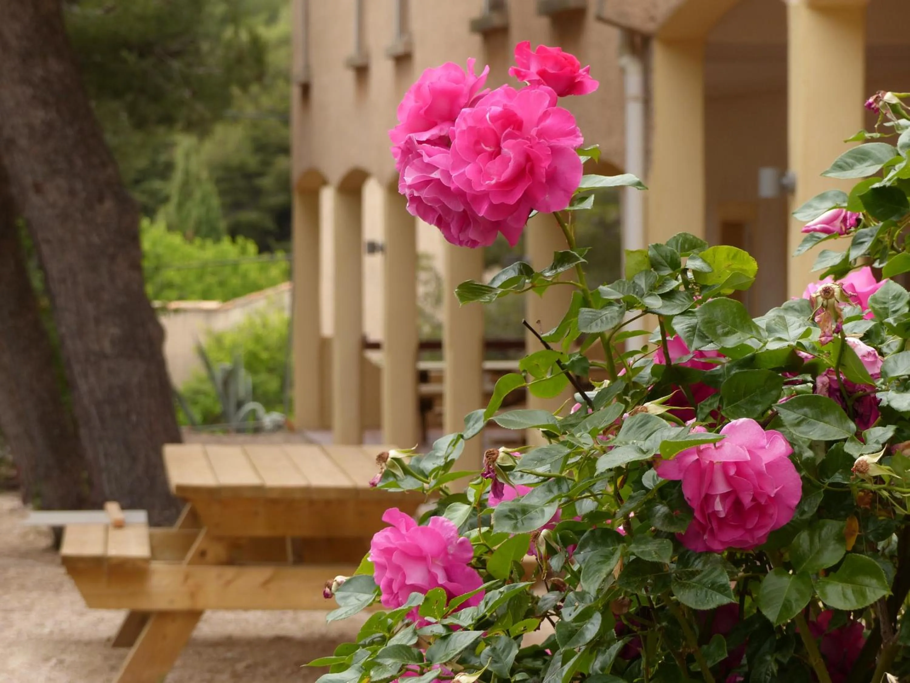 Appartements des Joncas