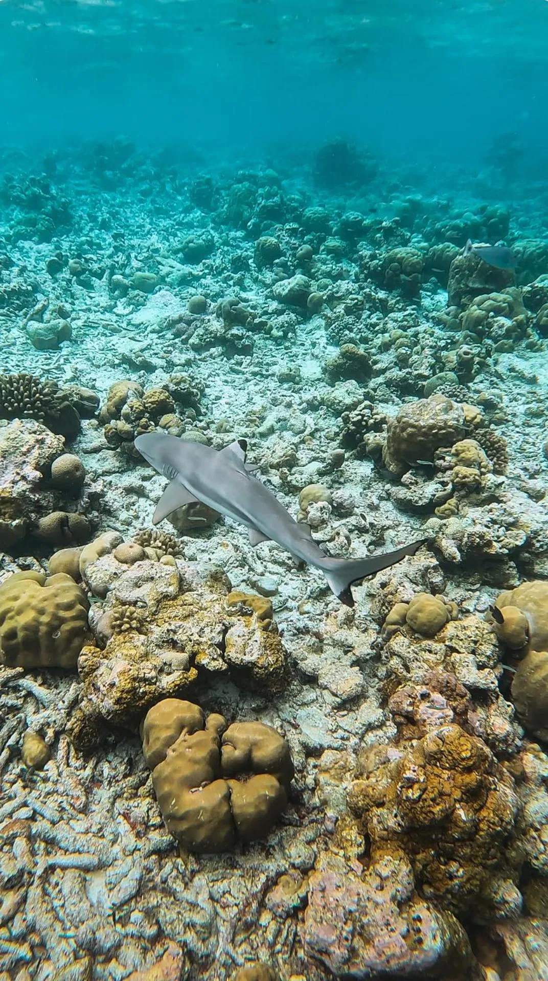 Natural landscape in Thundi Village & Spa