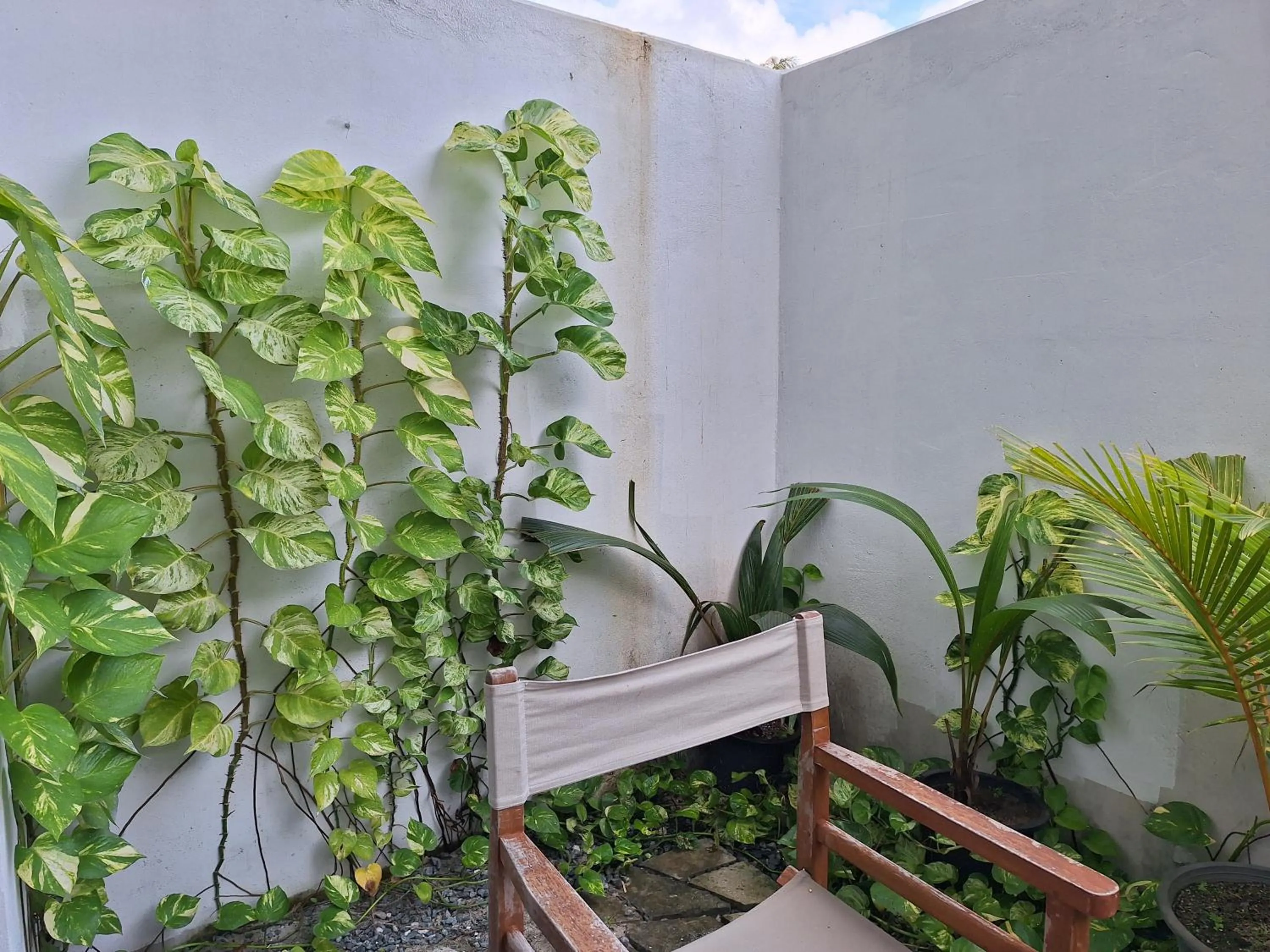 Garden in Thundi Village & Spa