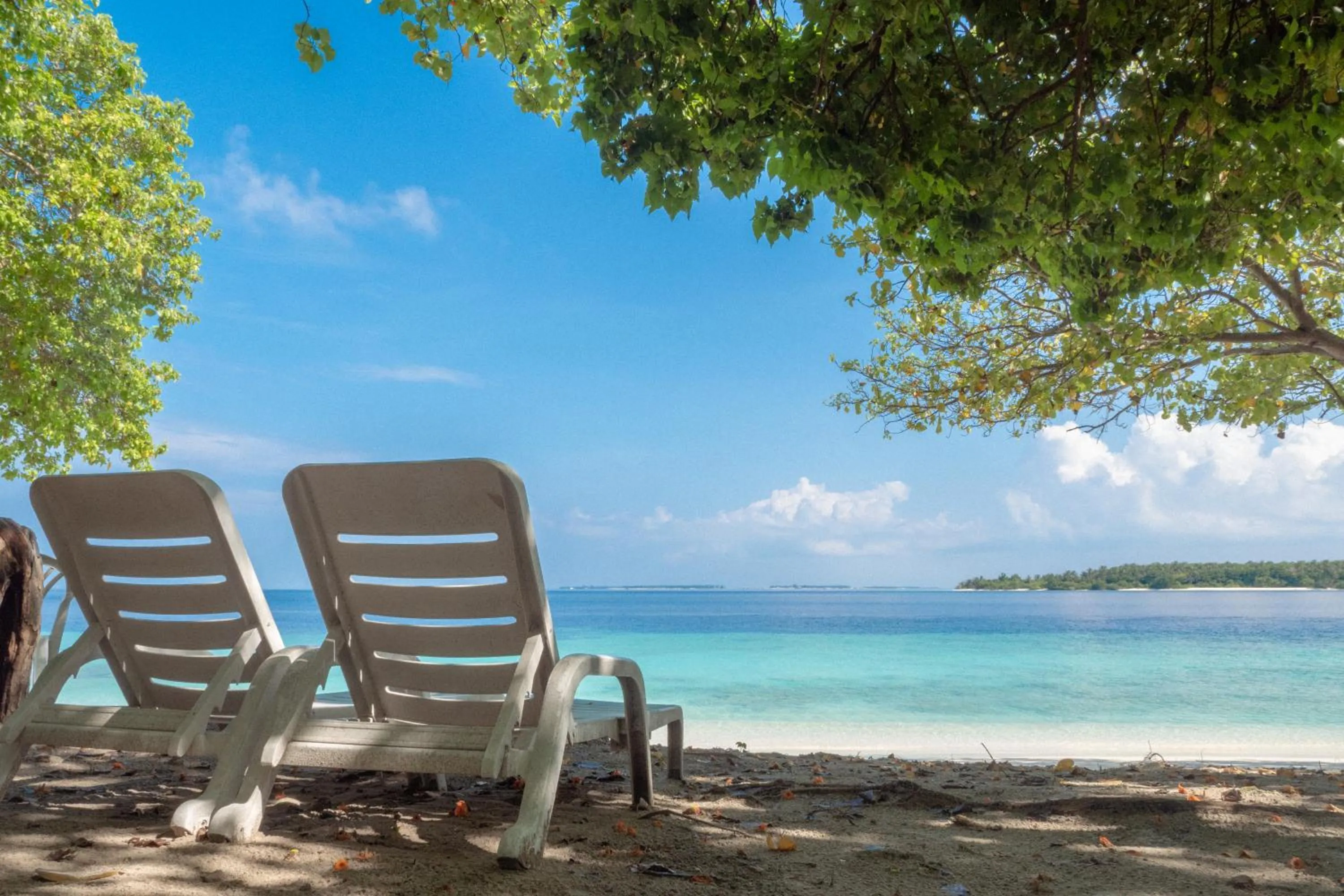 Beach in Thundi Village & Spa