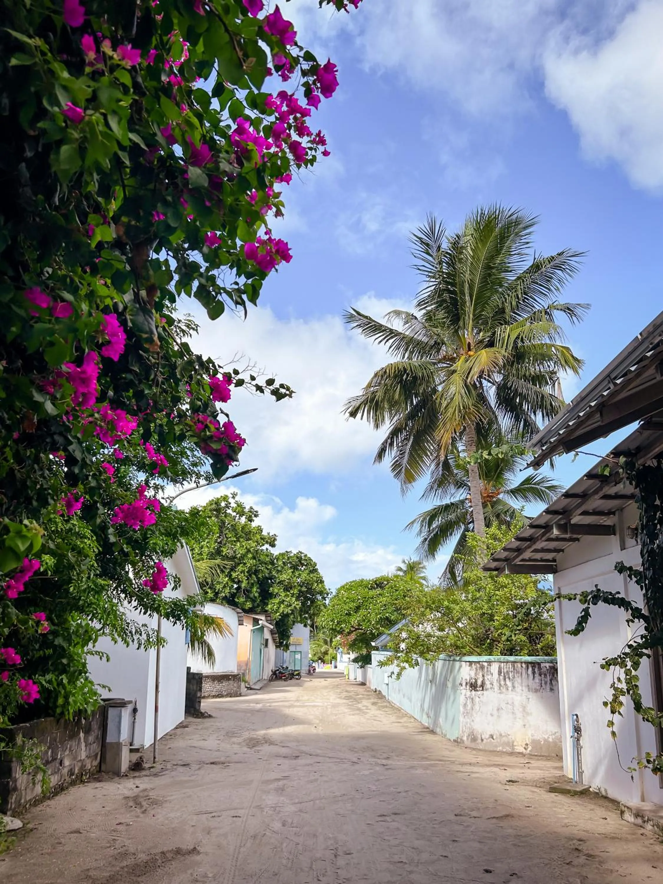 Neighbourhood in Thundi Village & Spa