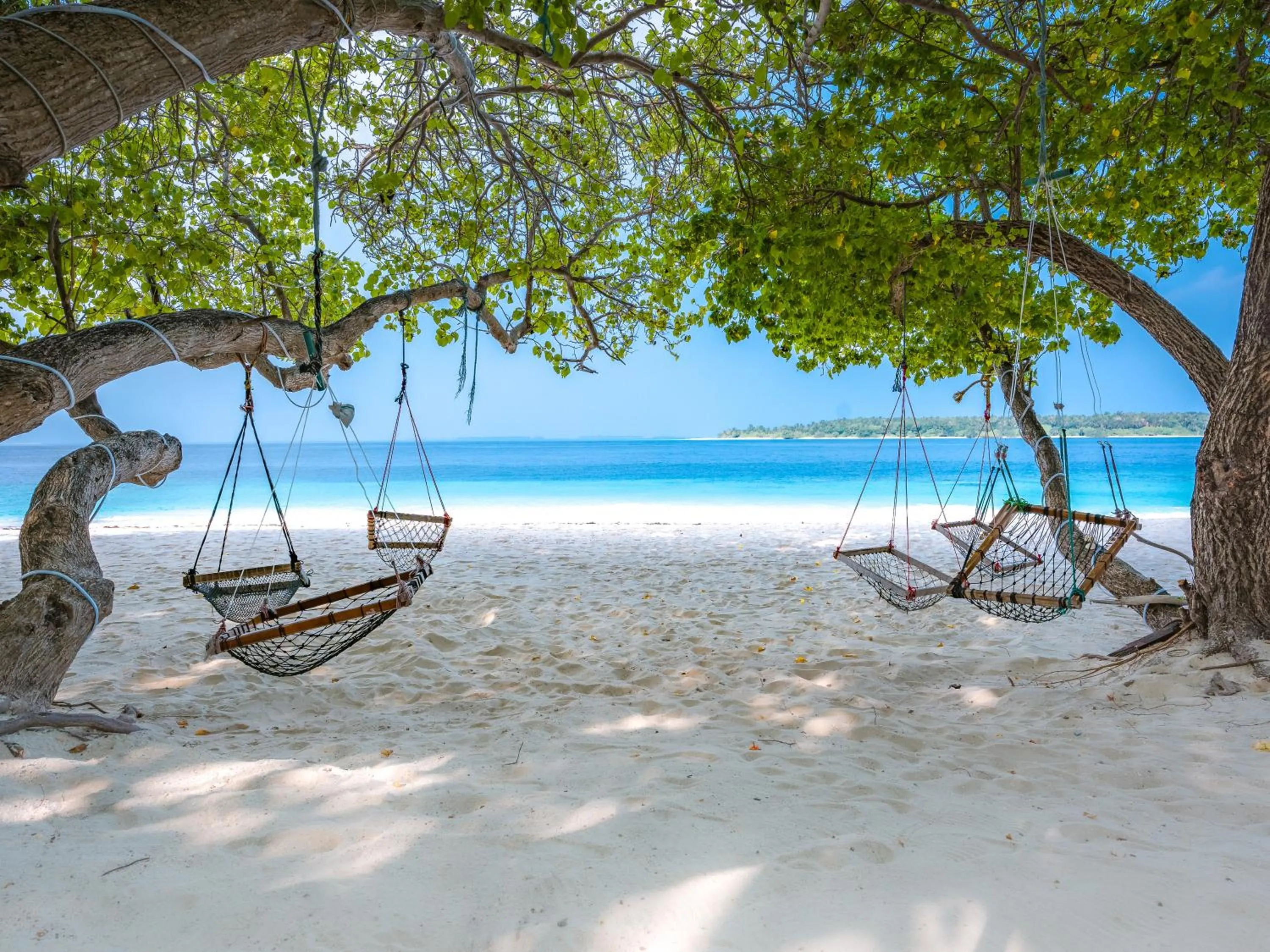 Day in Thundi by Biosphere