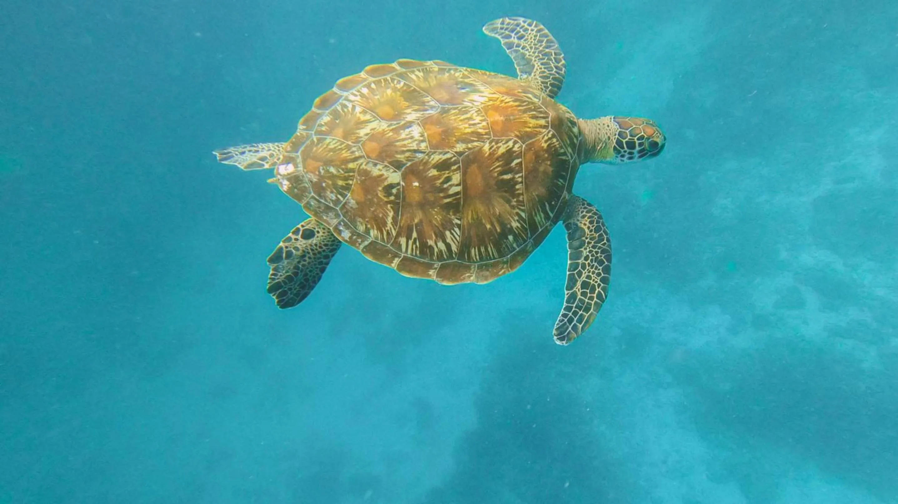 Natural landscape in Thundi Village & Spa