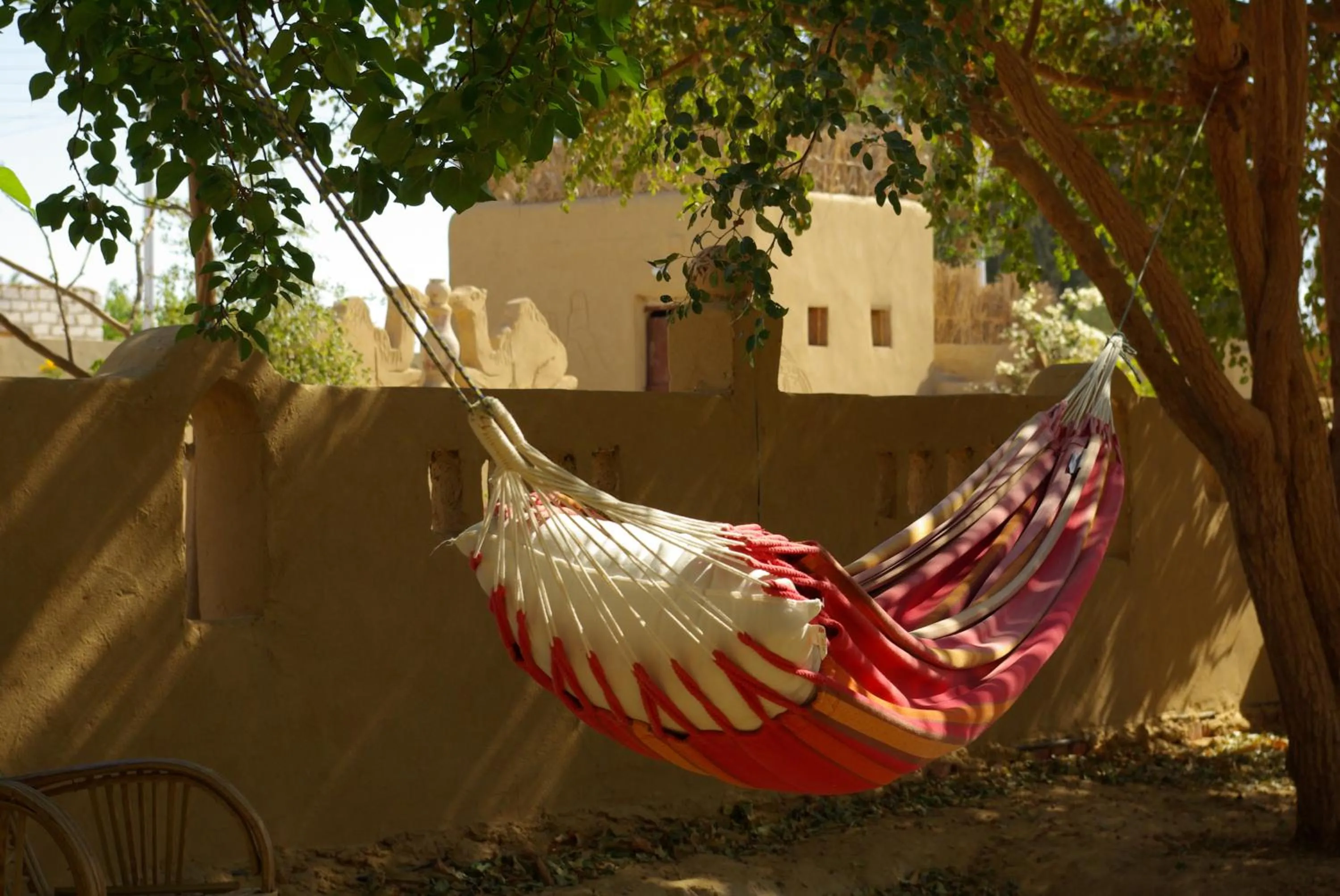Garden in Rahala Safari Hotel
