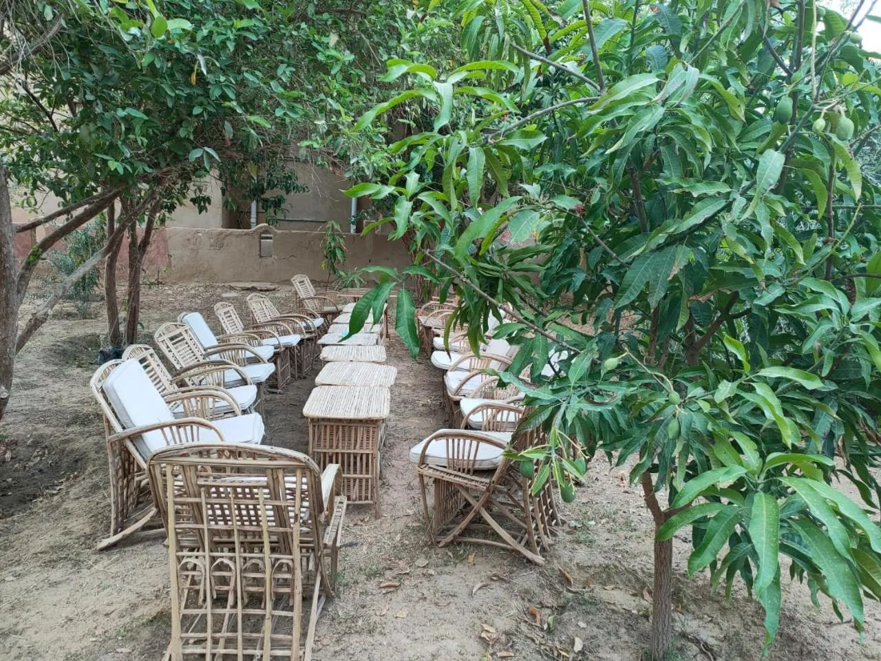 Garden view in Rahala Safari Hotel