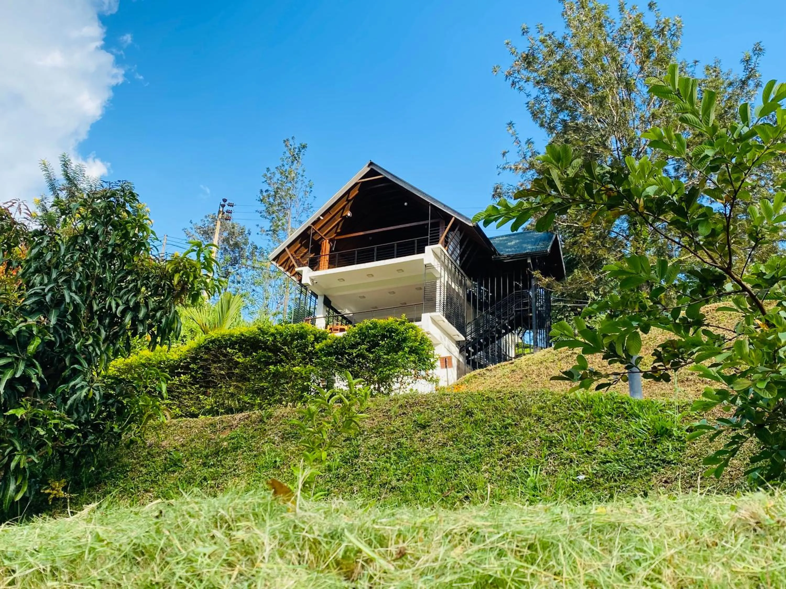 Property building in Aloft Grand Hotel Ella