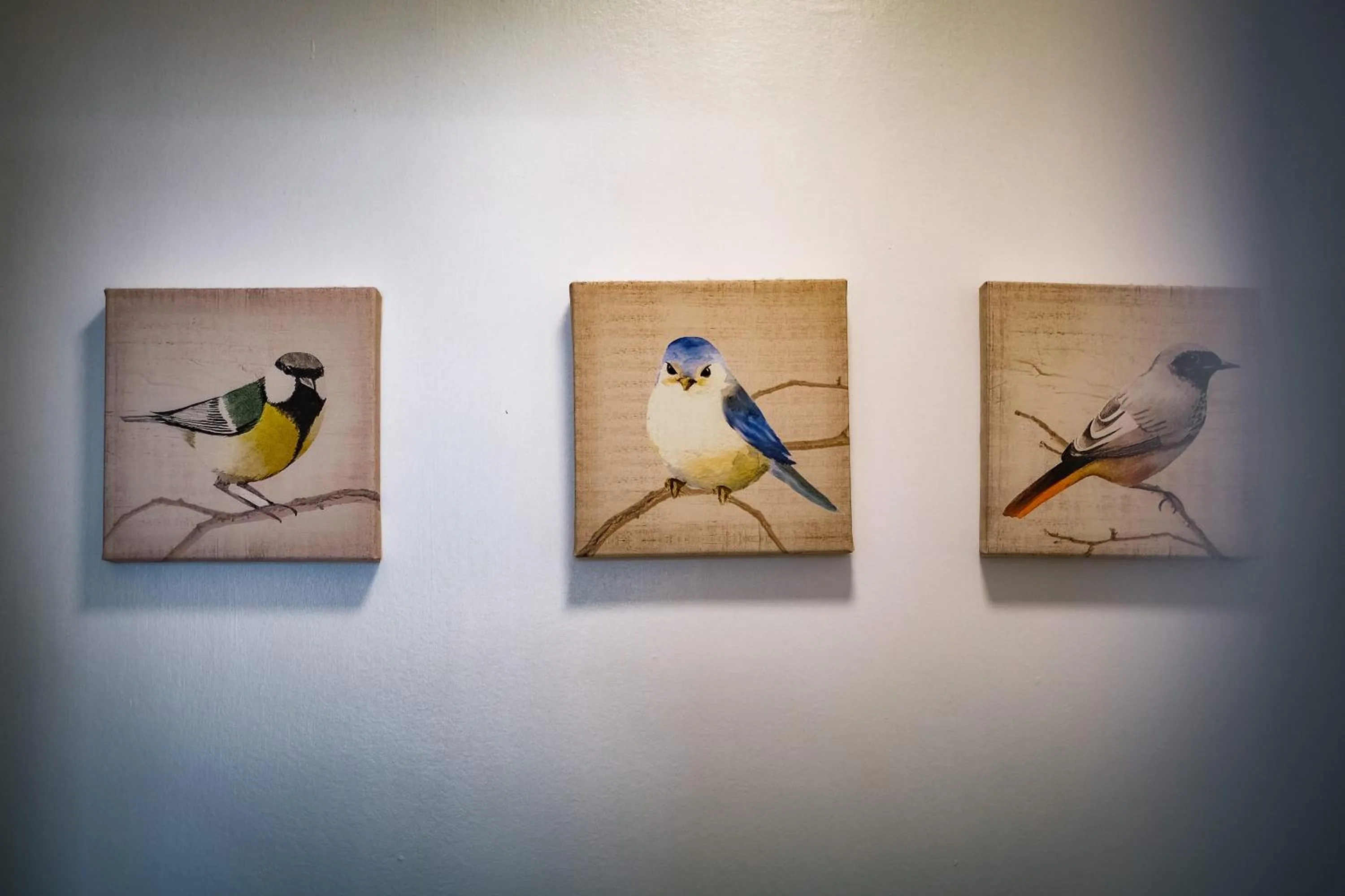 Glen Wynne Windermere - FREE off-site Health Club access with Pool, Sauna, Steam Room & Gym Short 5 Minute Drive Away