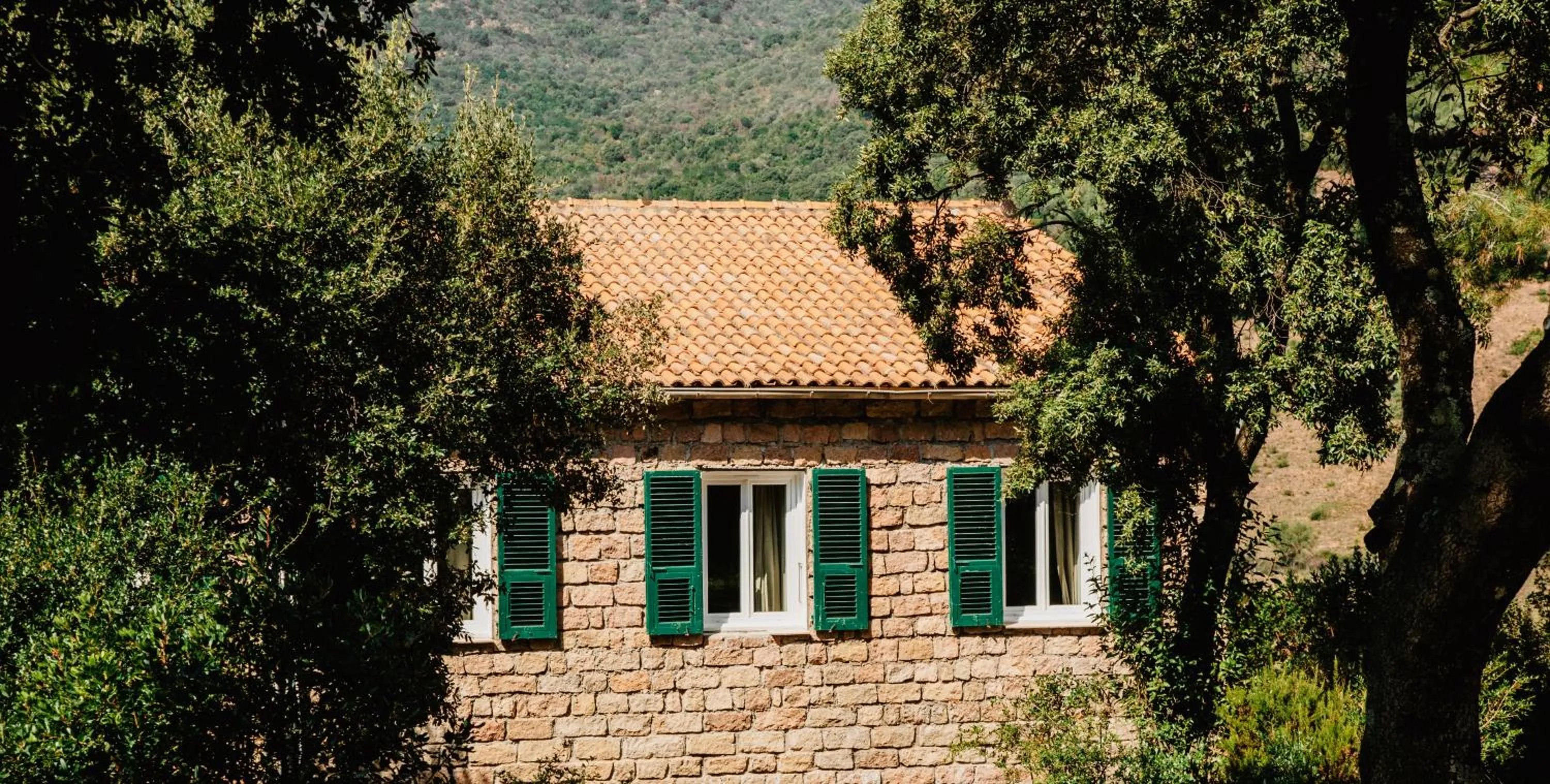 Bird's eye view in L'Aiglon