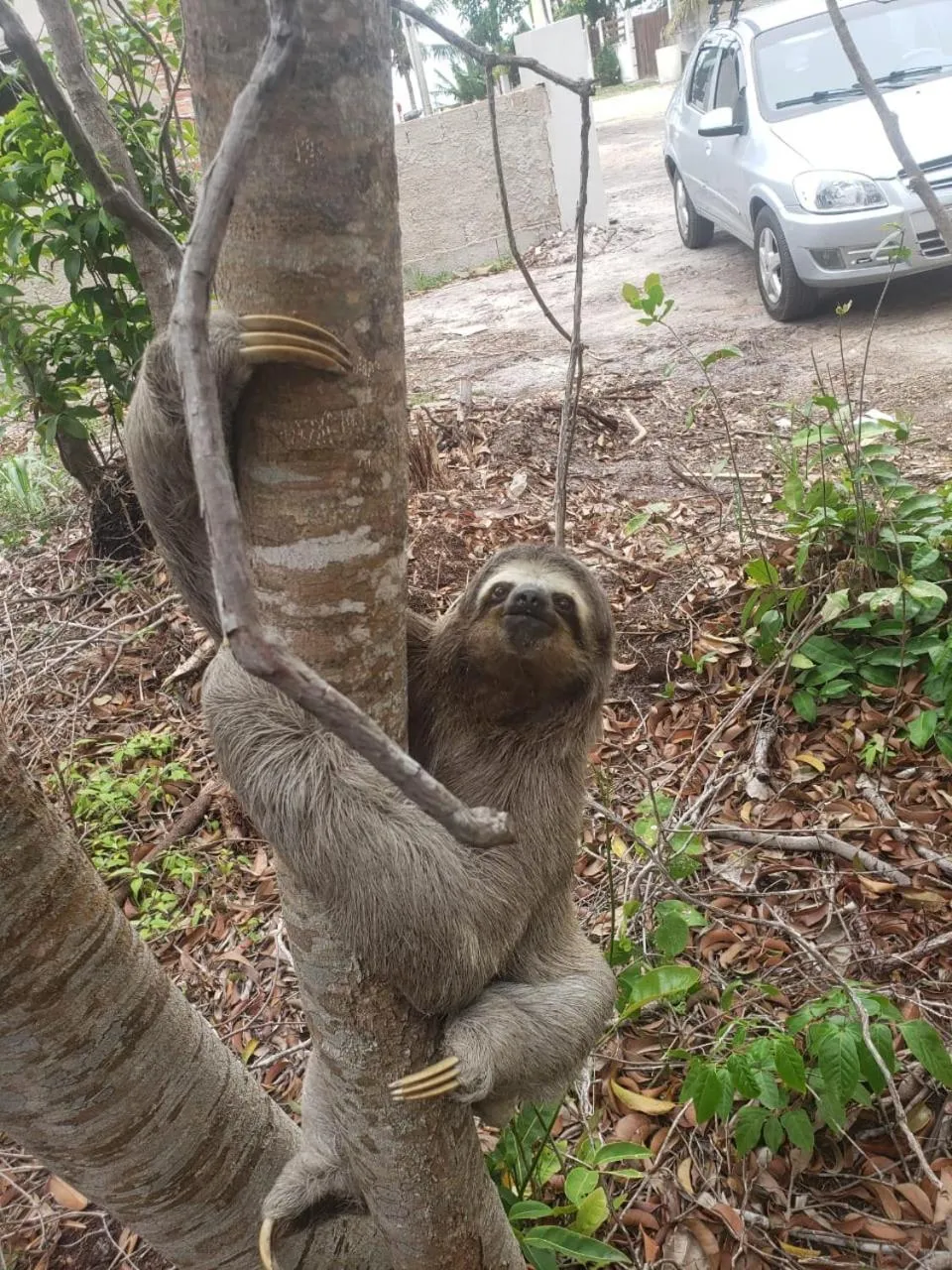 Hiking in Pousada da Rose