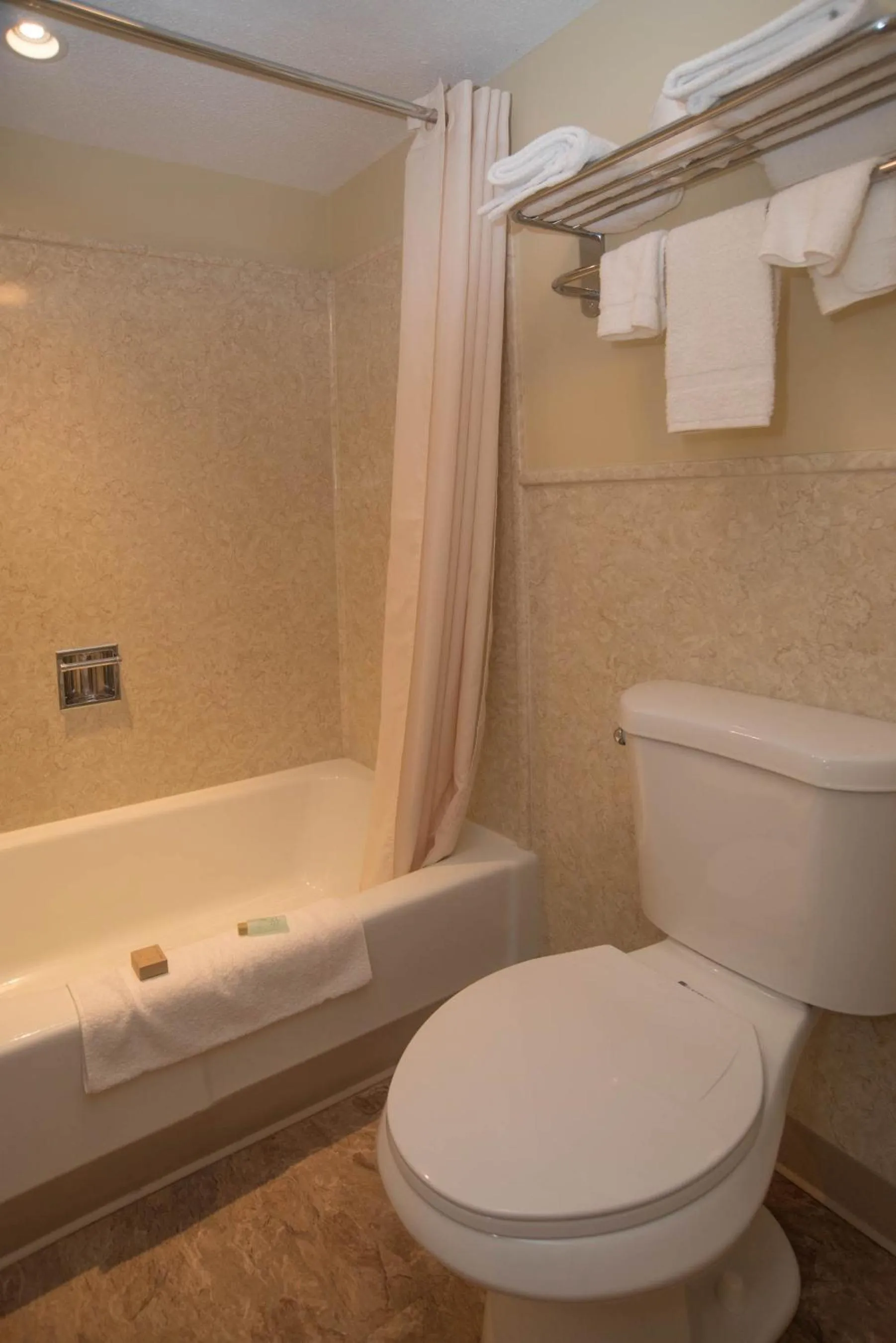 Toilet in Colonnade Inn