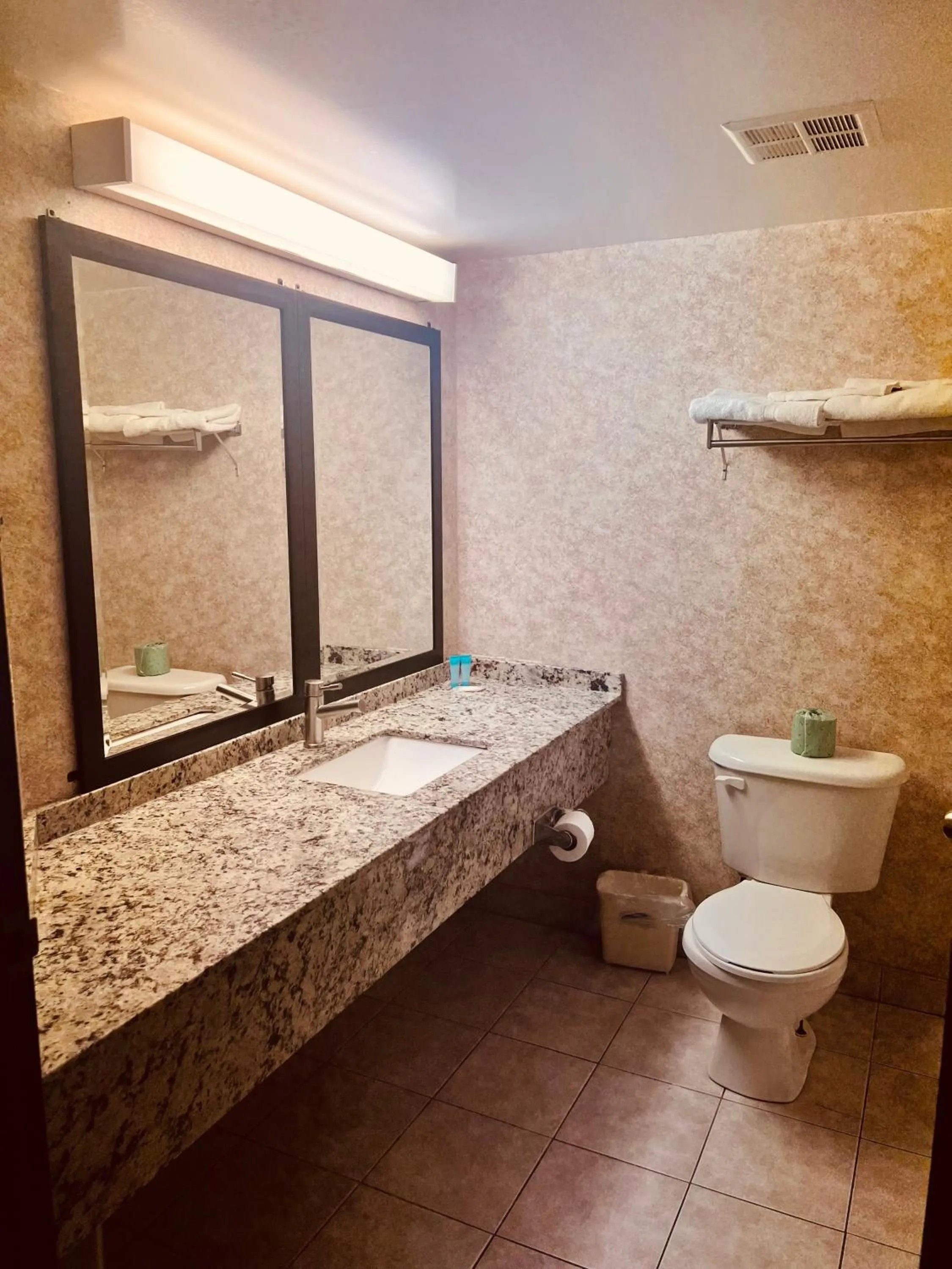 Lexington Inn & Suites-Windsor