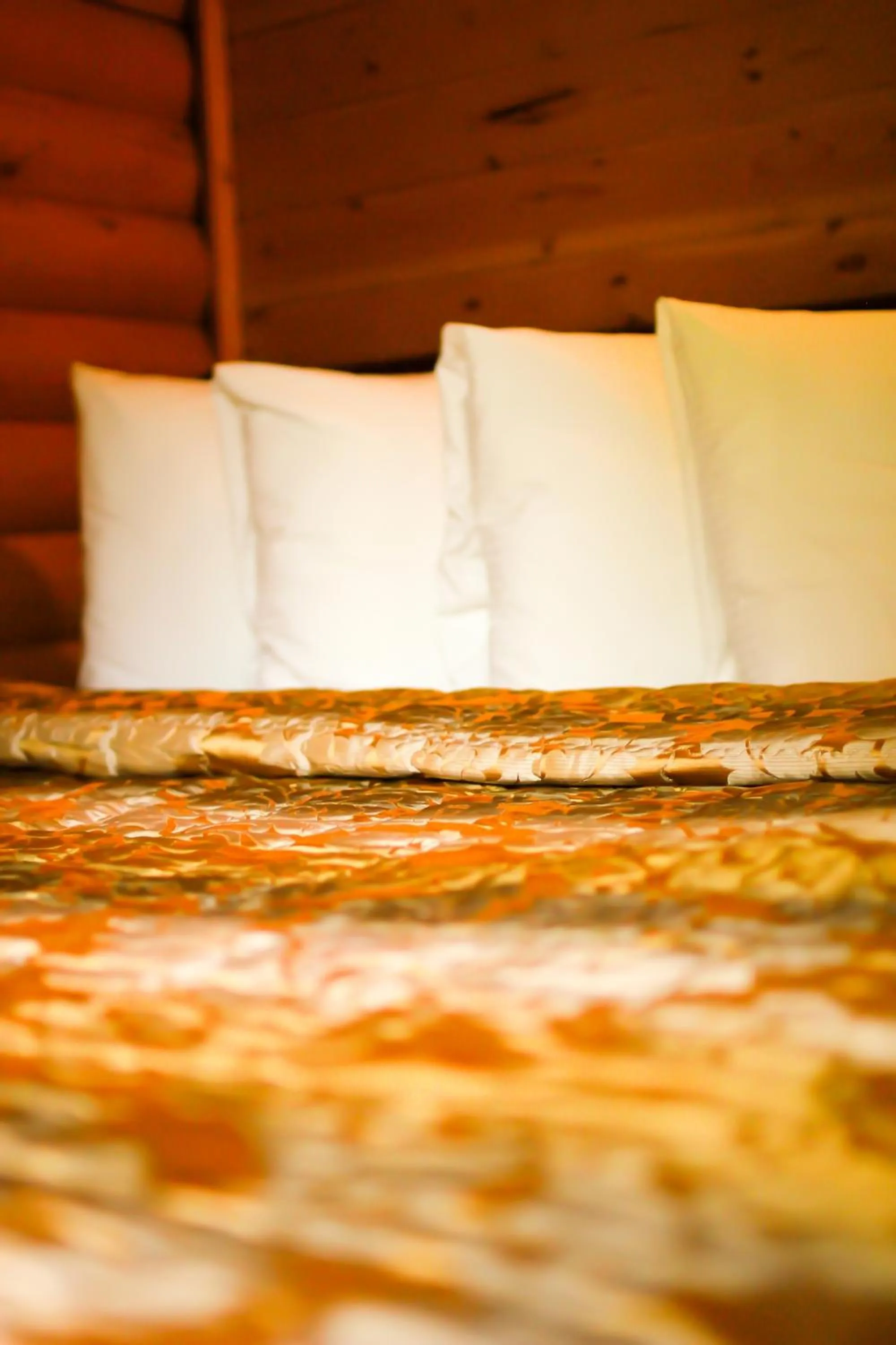 Bed in Mt. Revelstoke Alpine Chalets