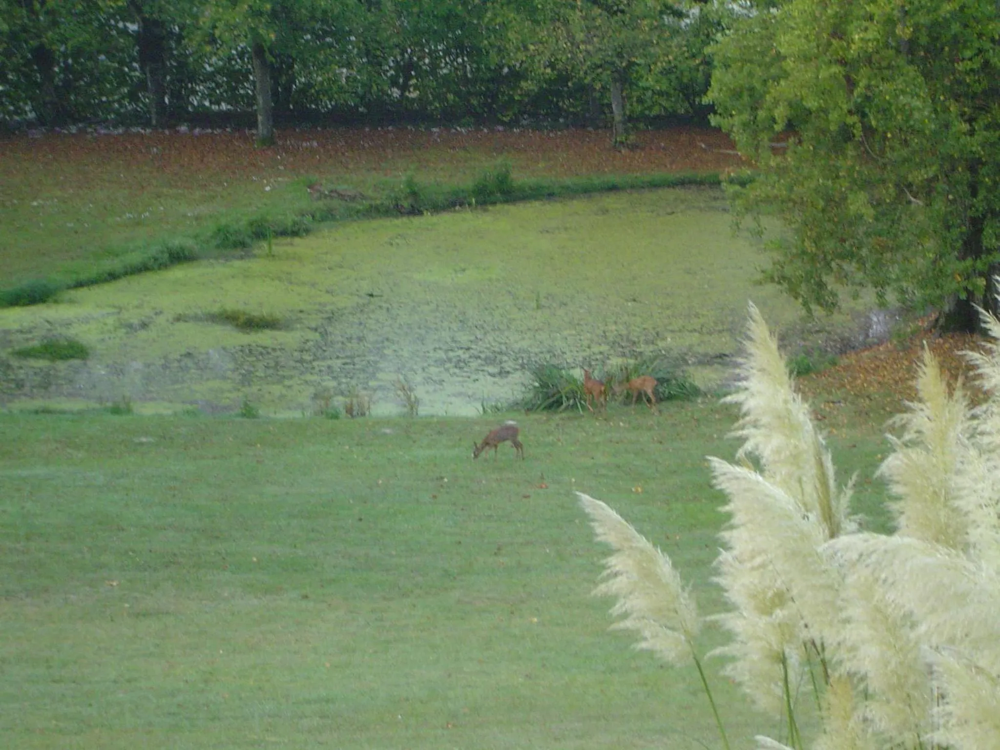 Garden view in Chateau de Vaugrignon - Beer Spa