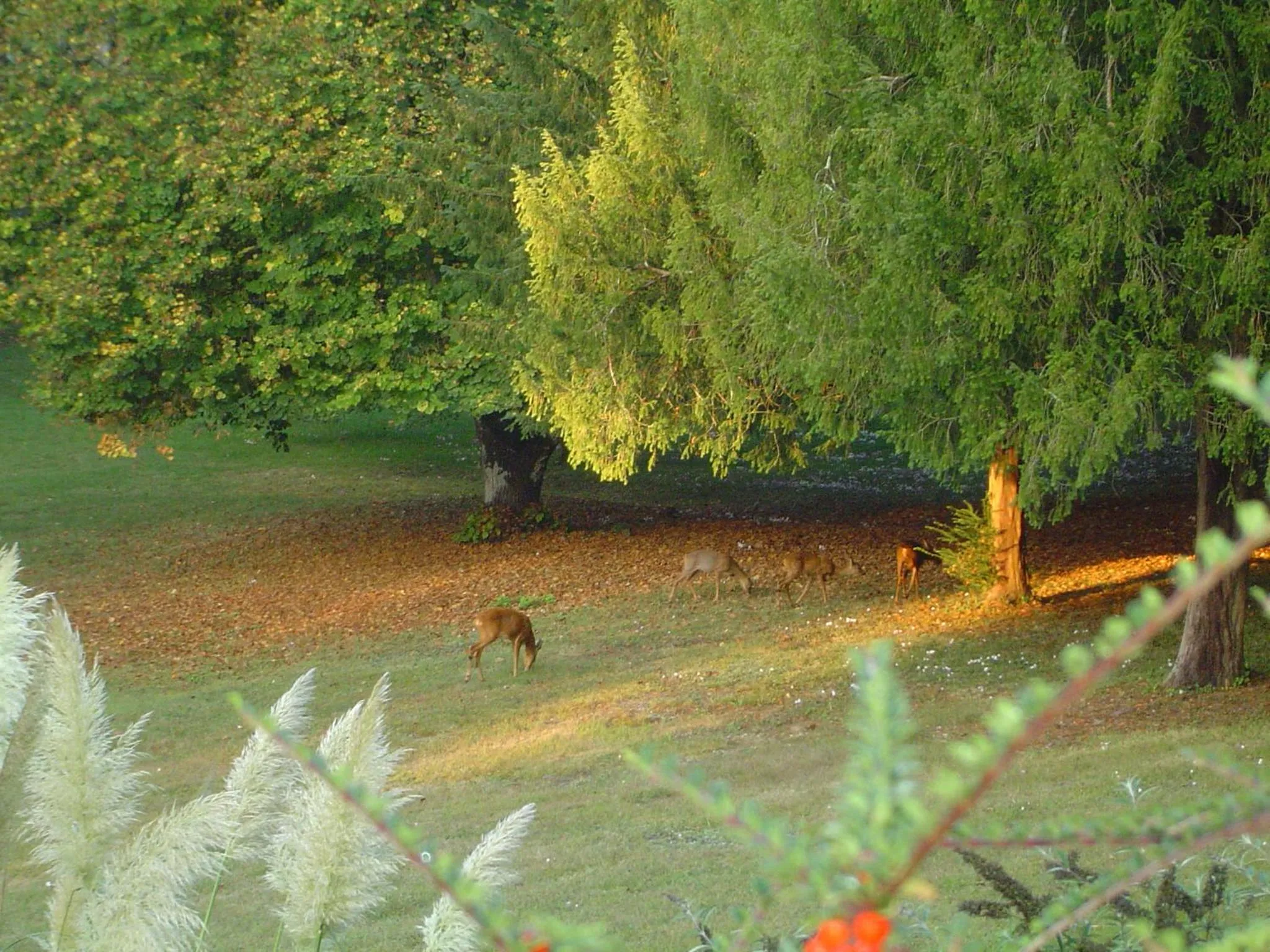 Garden view in Chateau de Vaugrignon - Beer Spa