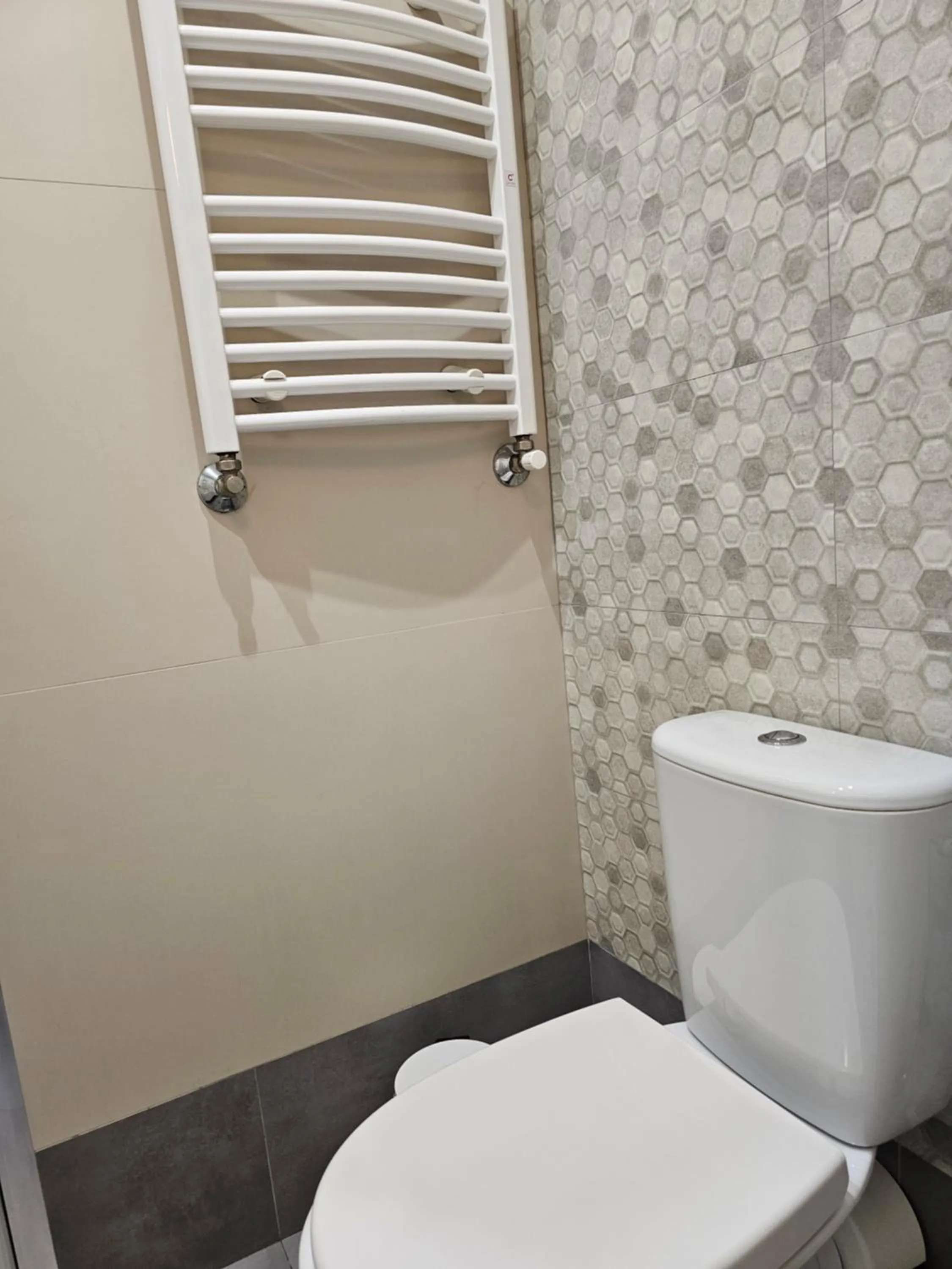 Toilet in WILLA BAJLAND