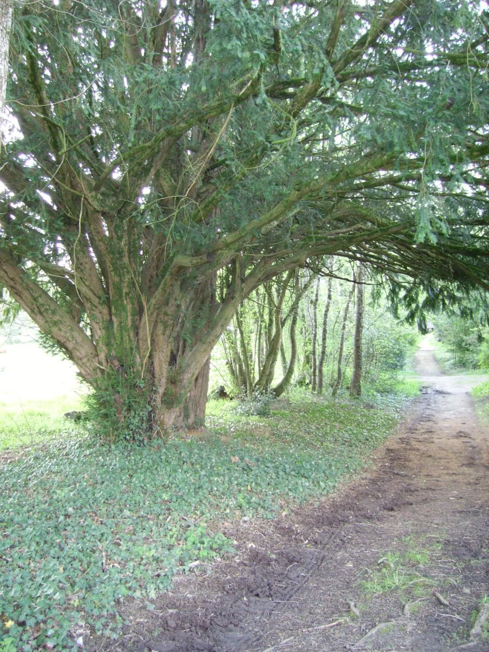 Natural landscape in Chambre d’hôtes de Vauguenige