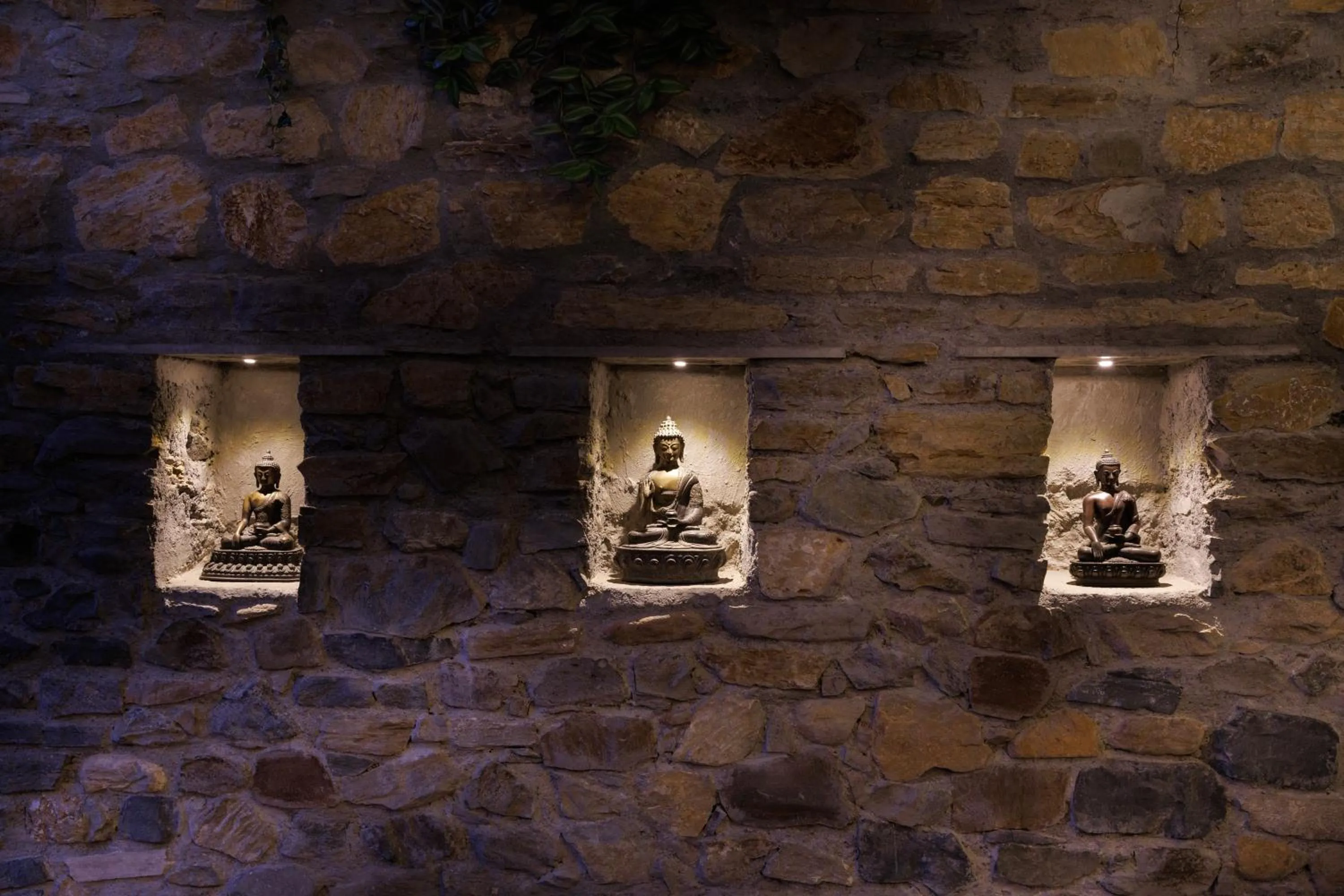 Other in Shambaling Boutique Hotel