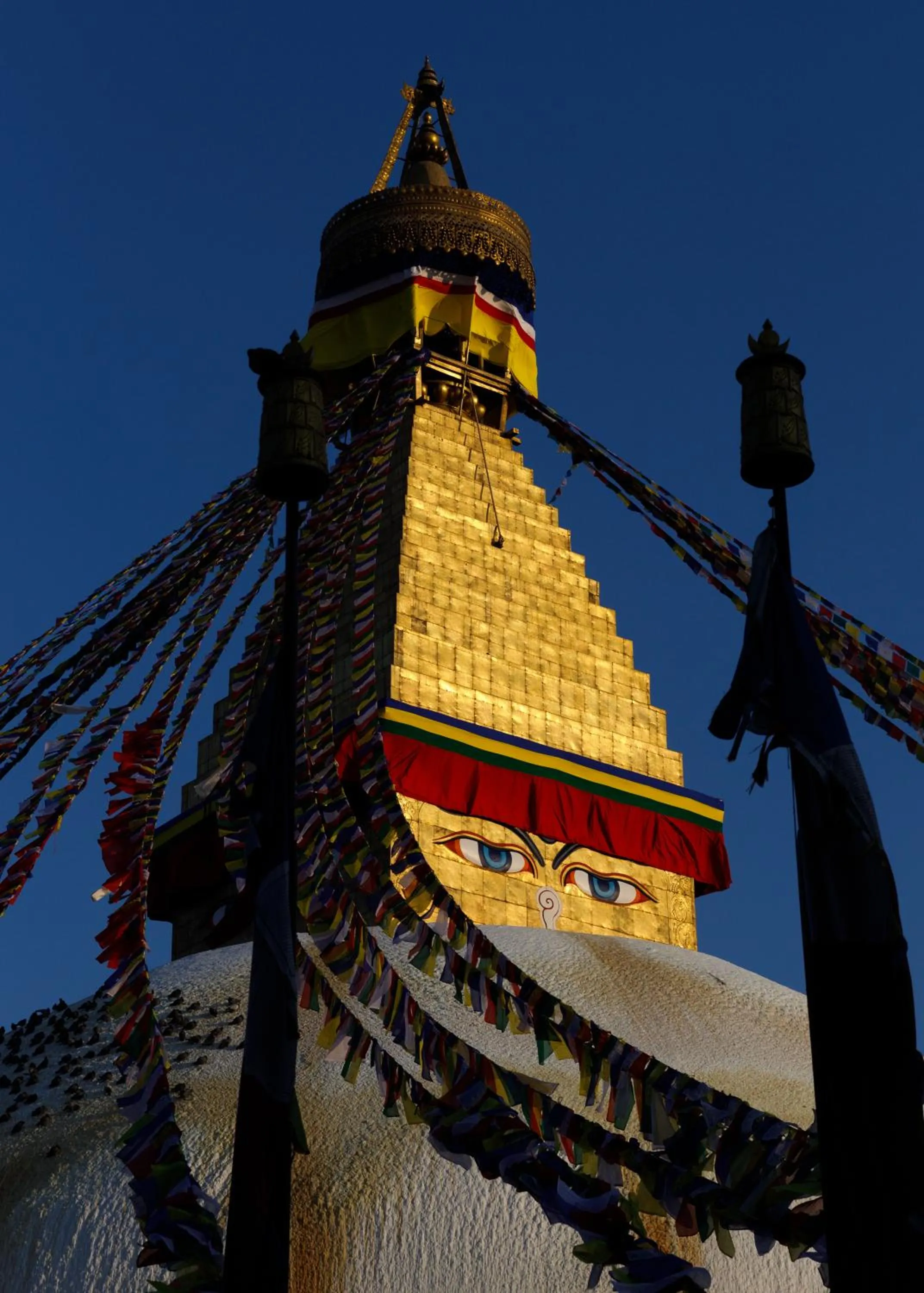 View (from property/room) in Shambaling Boutique Hotel