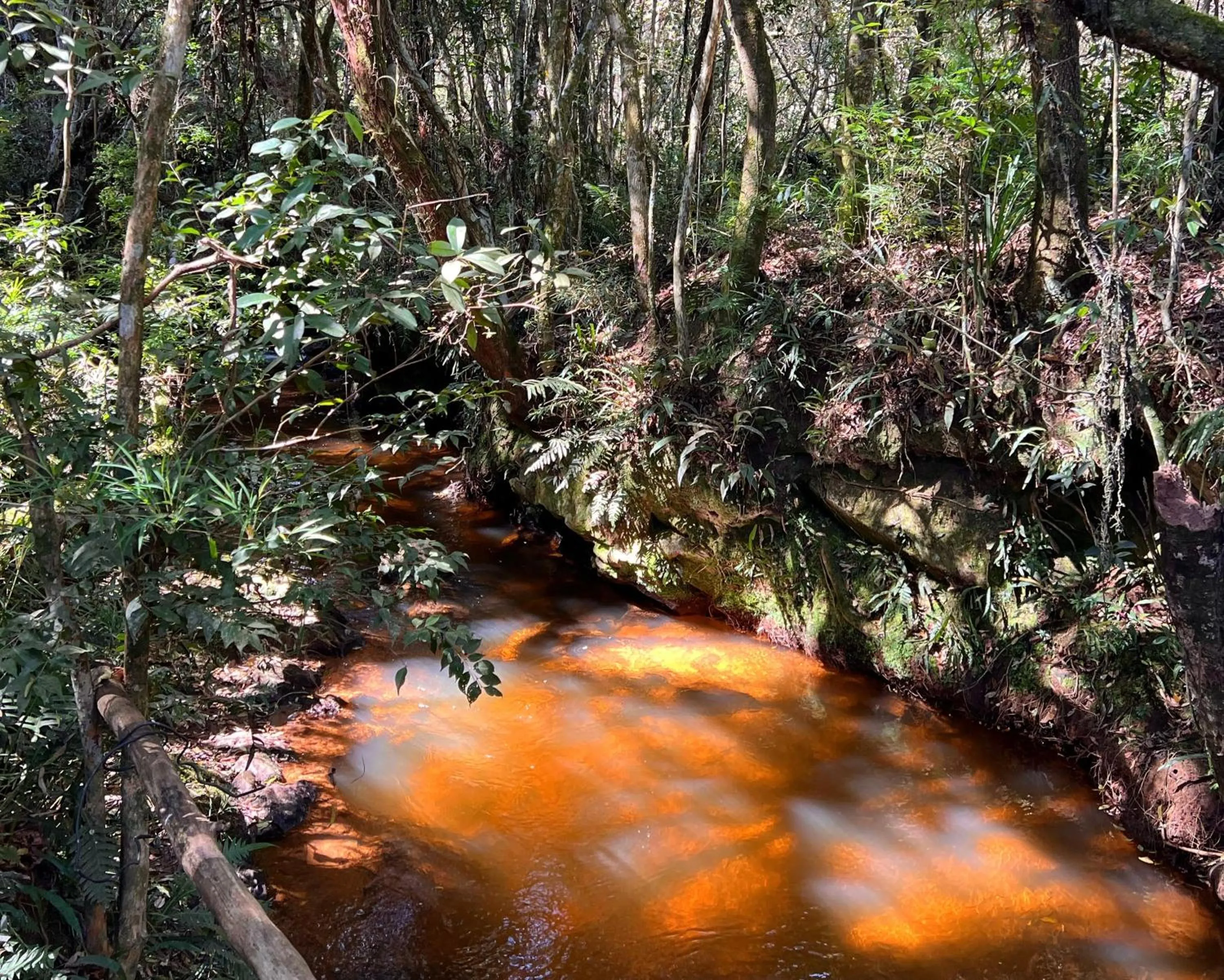 Chalés Recanto da cachoeira