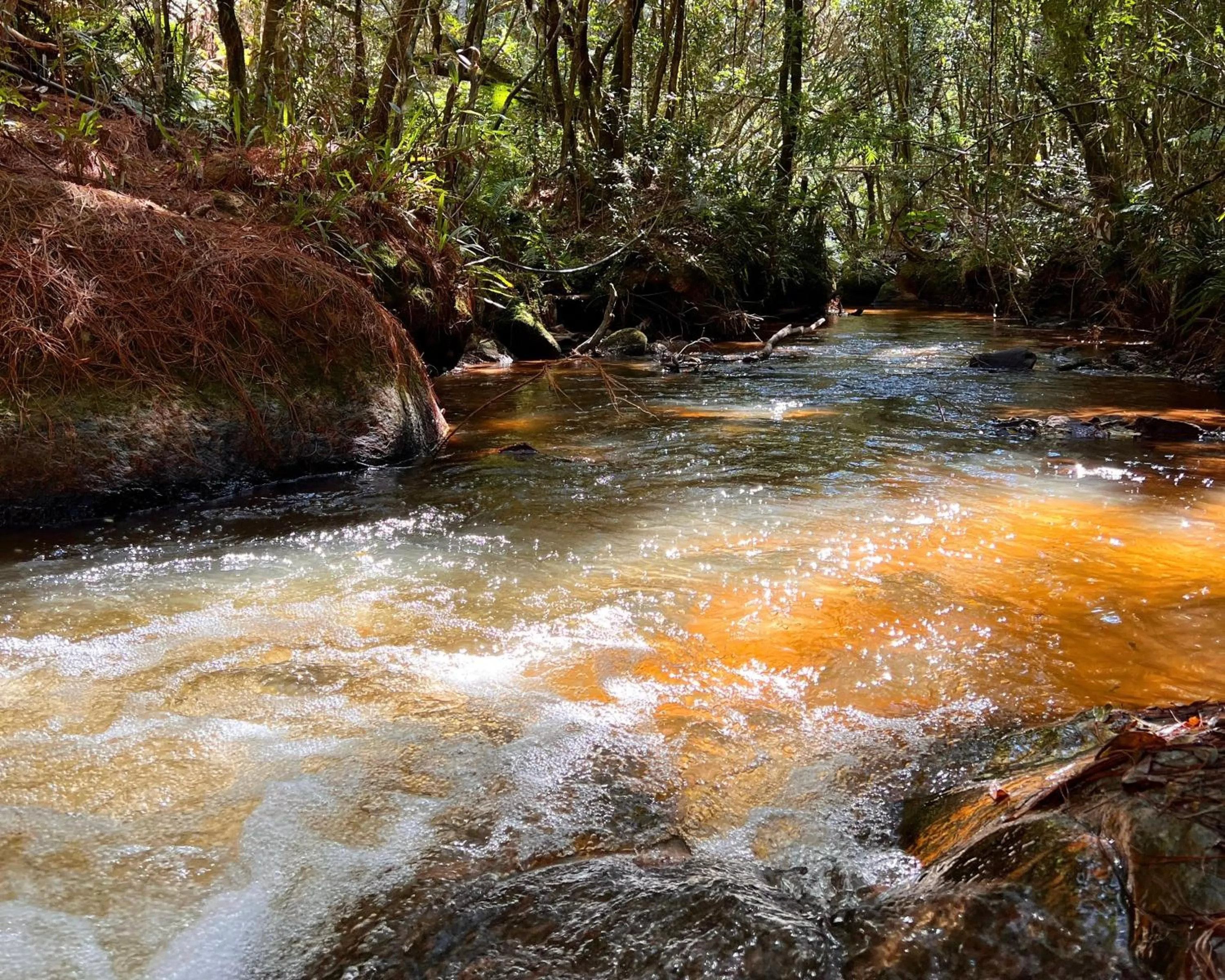 Chalés Recanto da cachoeira