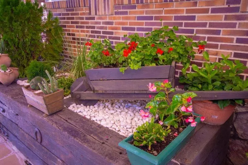 Patio in Hostal El Cruce