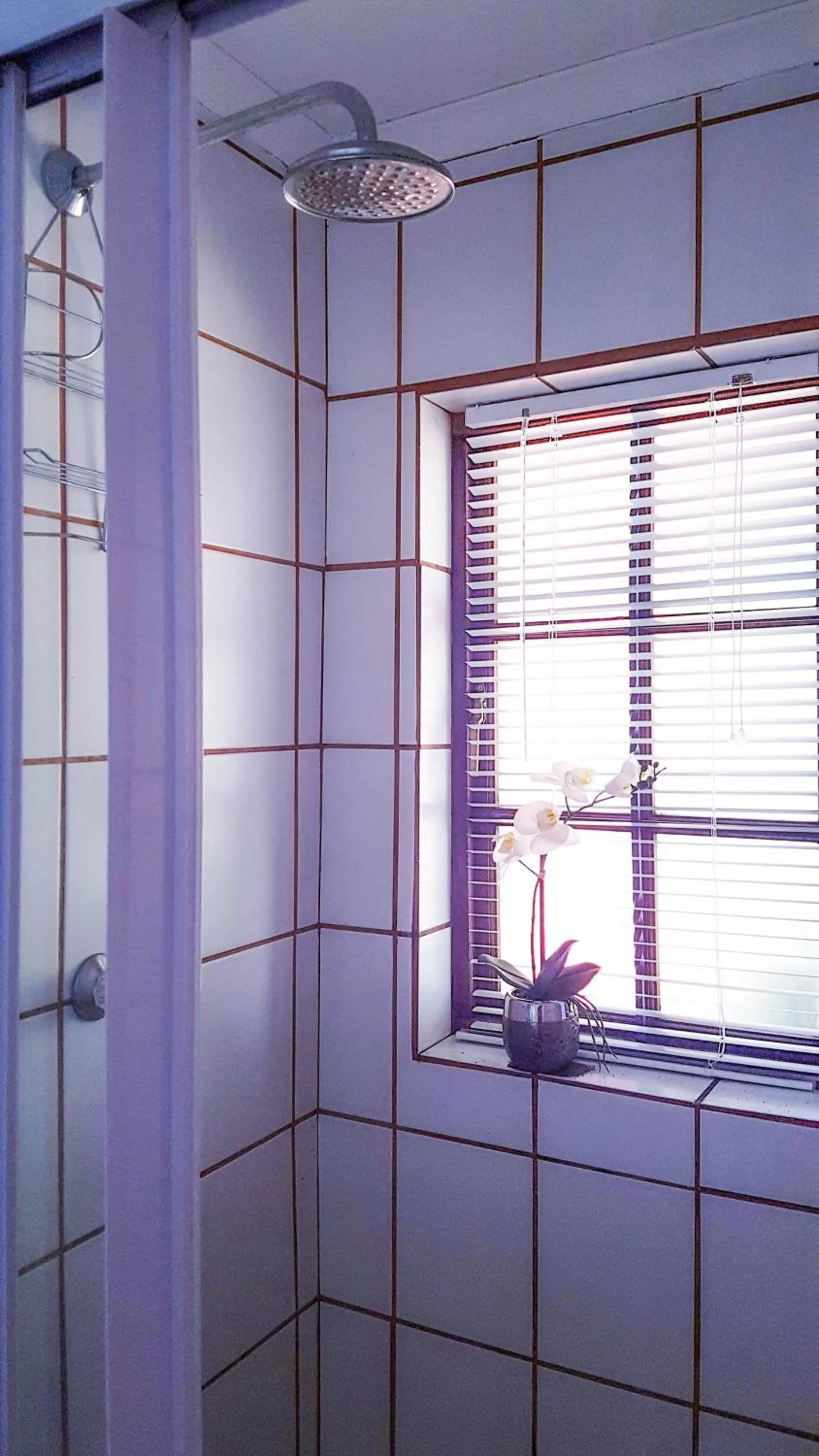 Shower in Raka Cottage