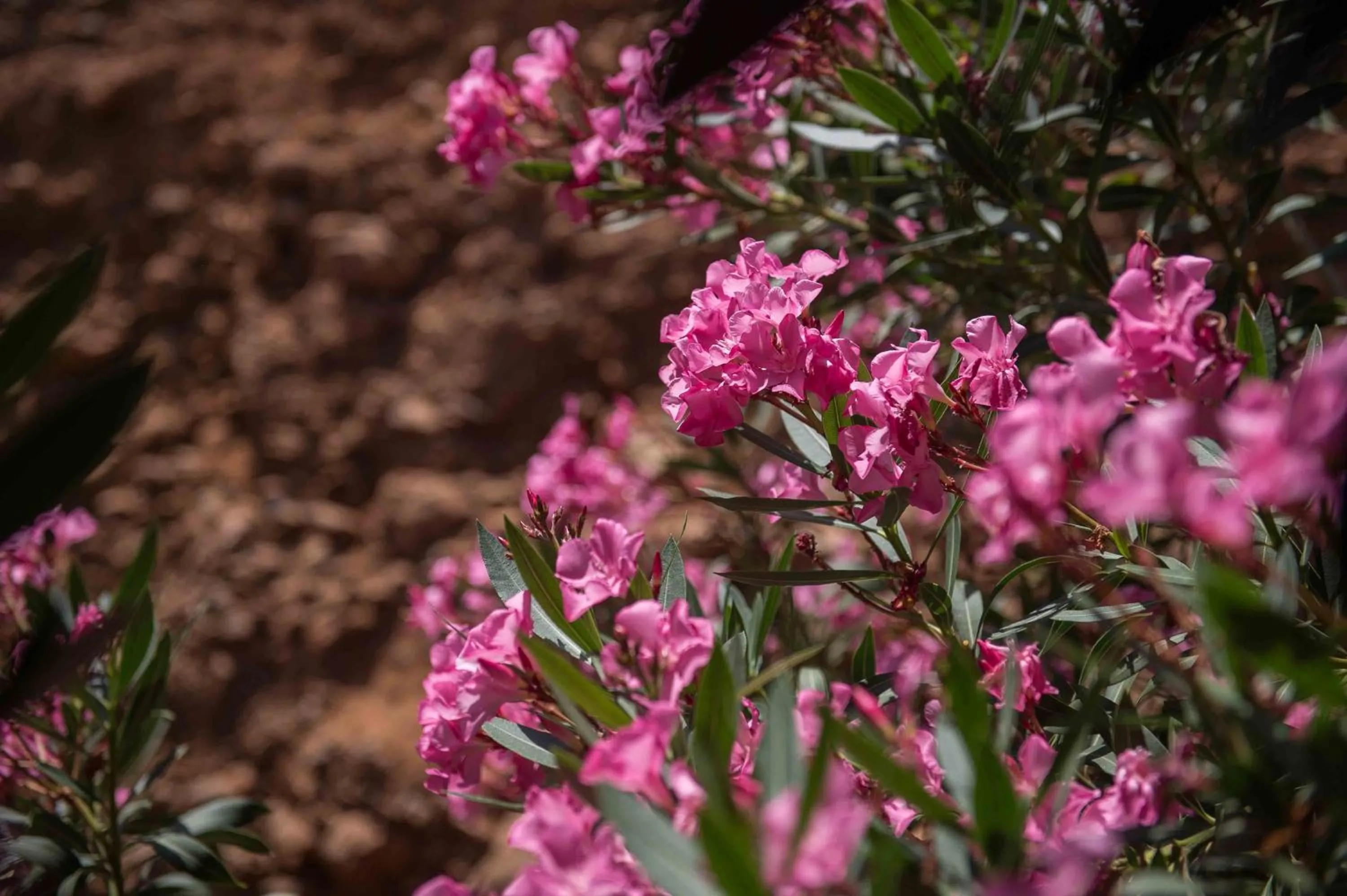 Property building in Balos Beach