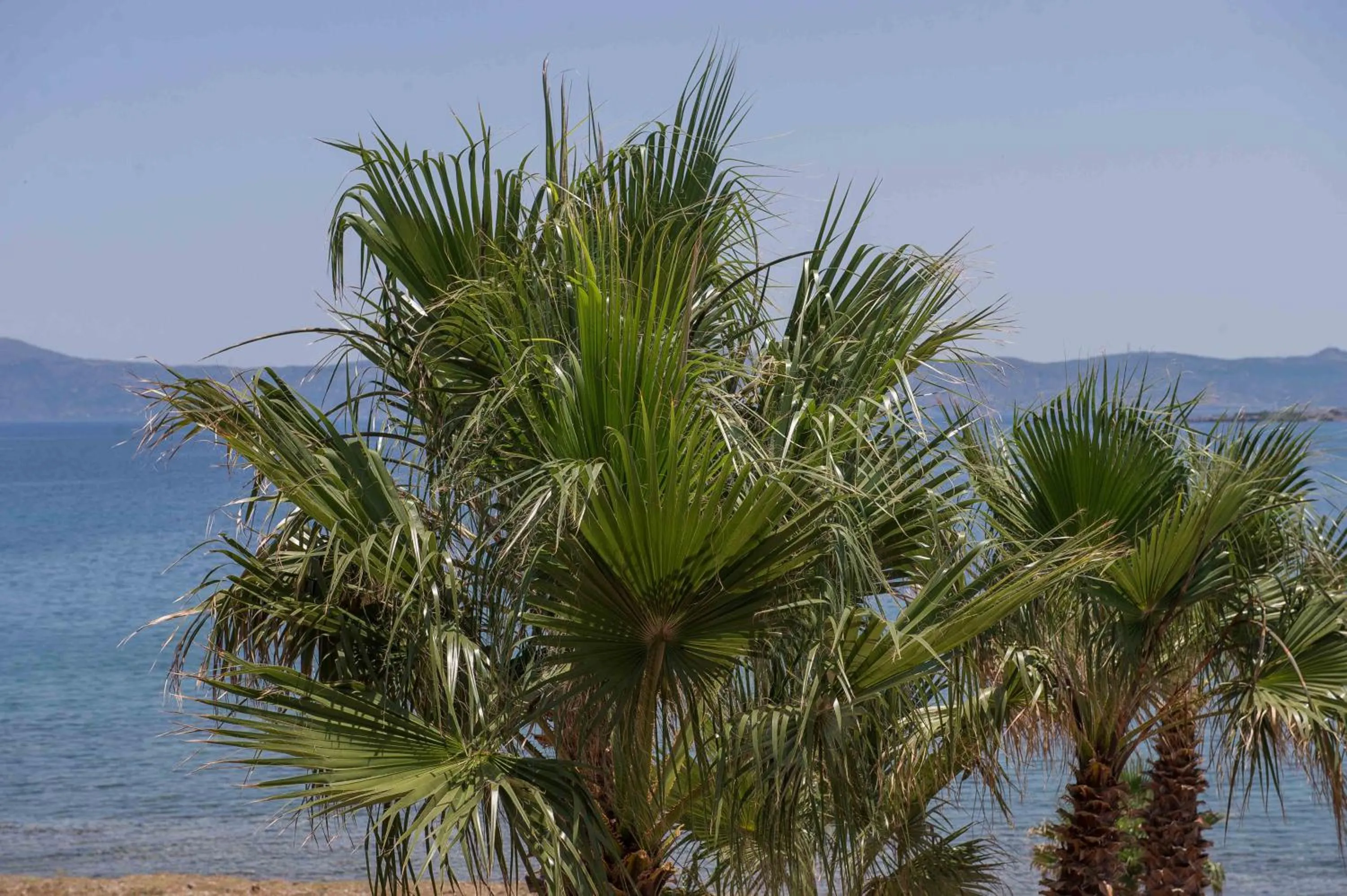 Property building in Balos Beach