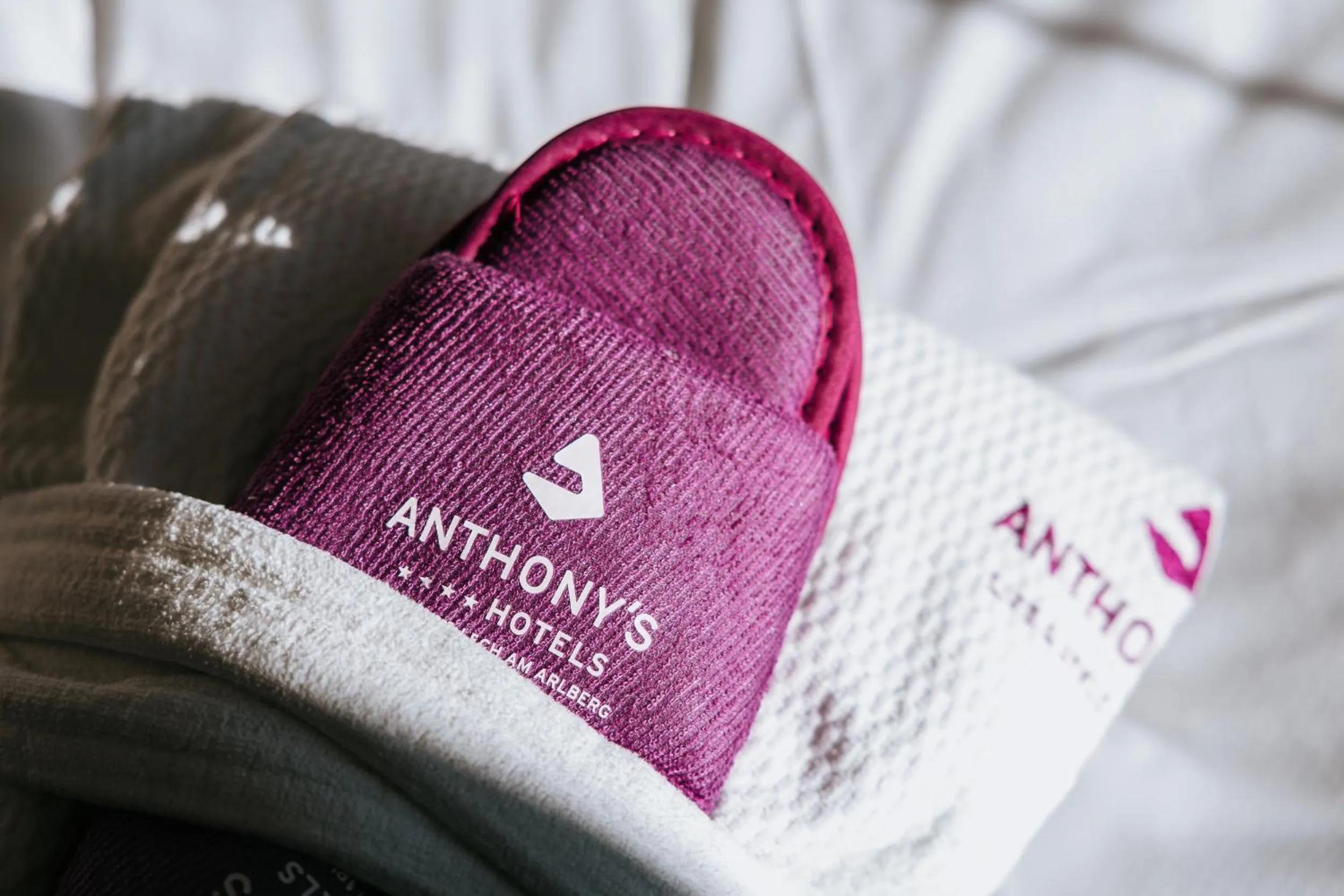 Property logo or sign in Anthony´s Alpin Hotel Garni