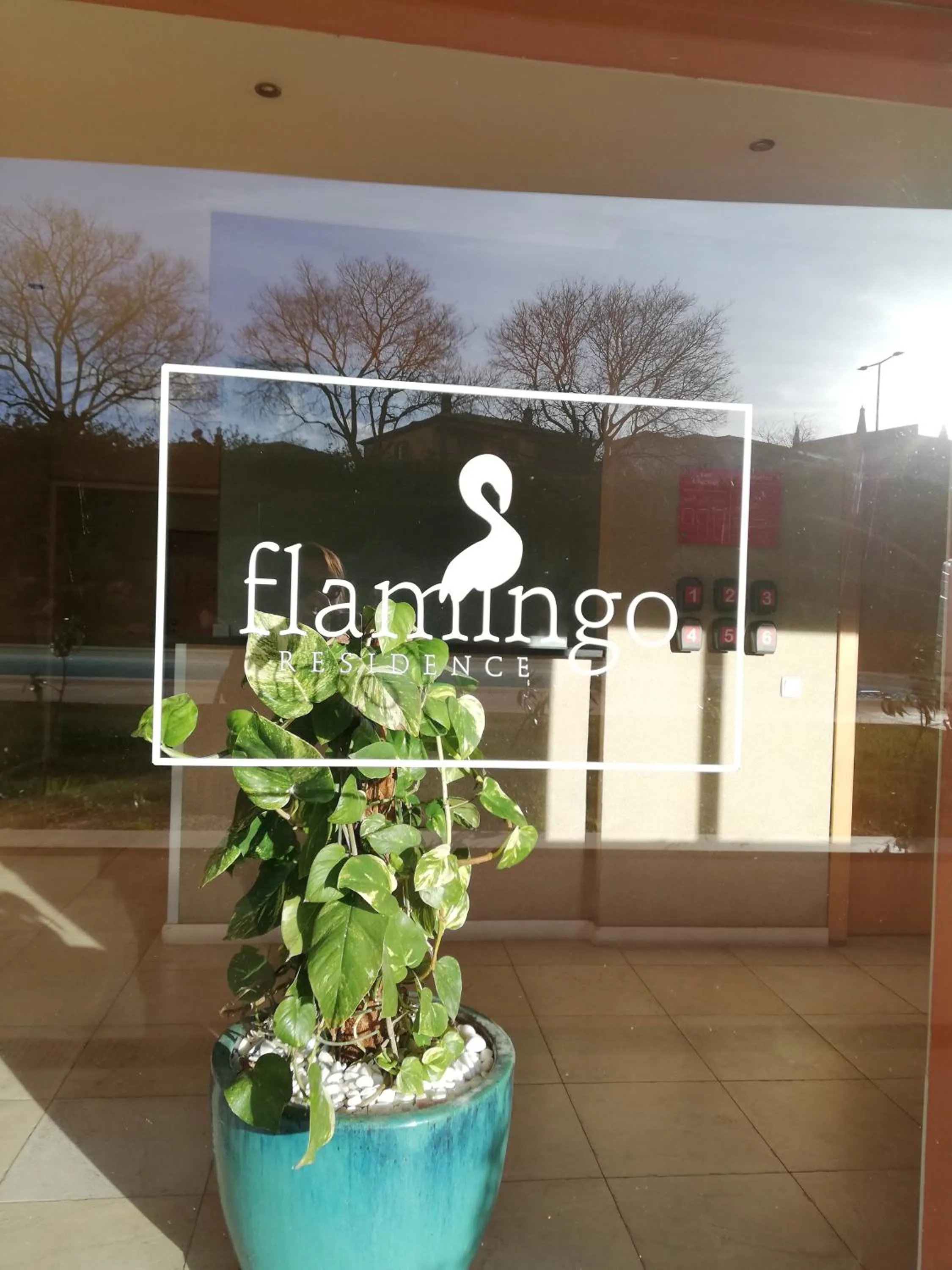 Property logo or sign in Flamingo Apartment