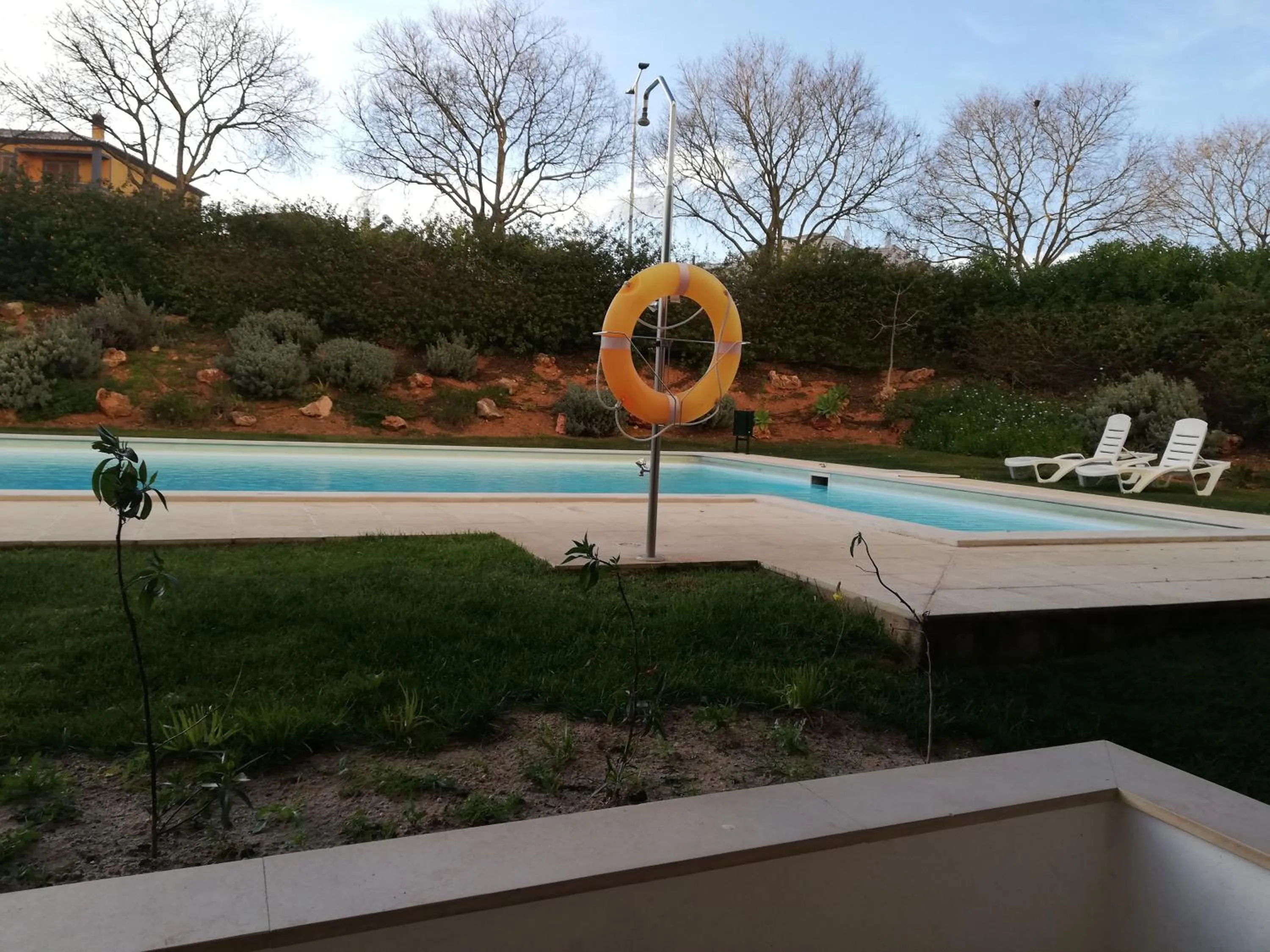 Pool view in Flamingo Apartment