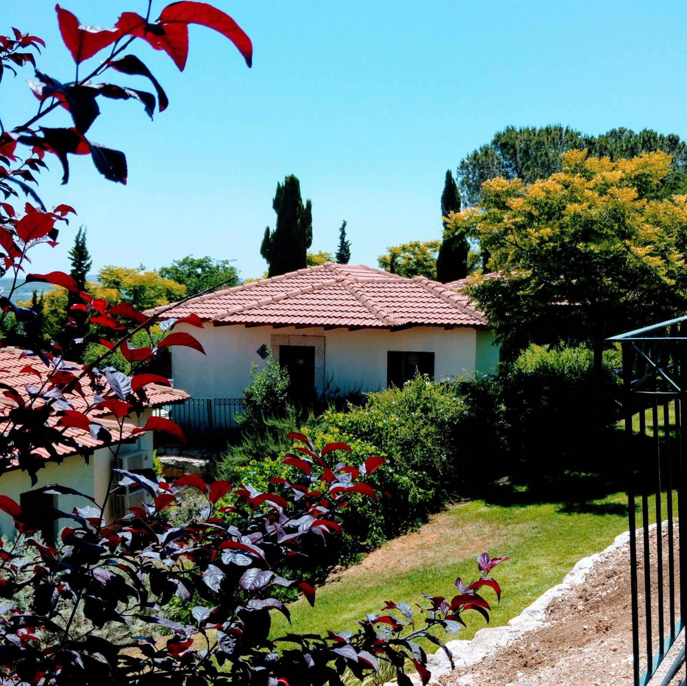 Property building in Shoresh Green Hills