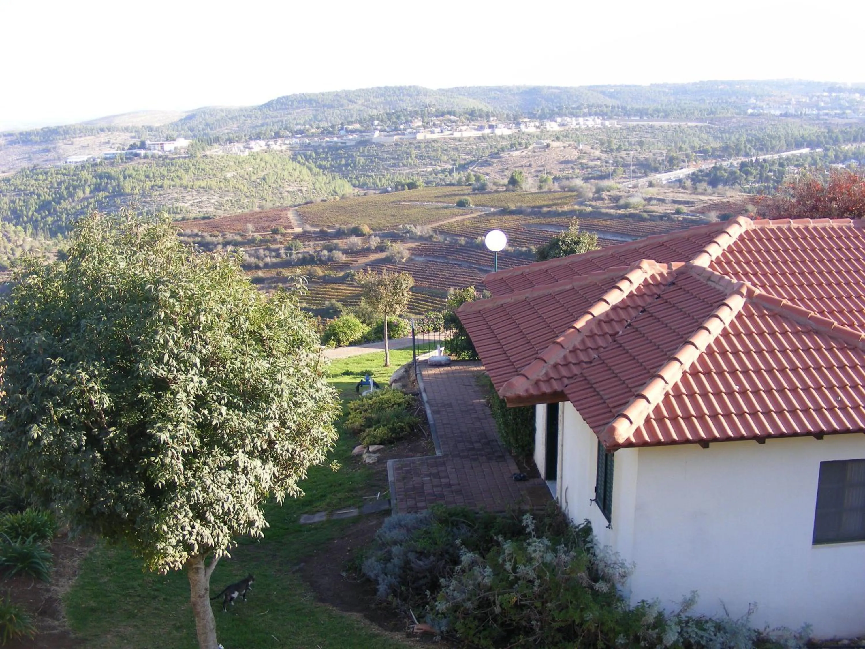 View (from property/room) in Shoresh Green Hills