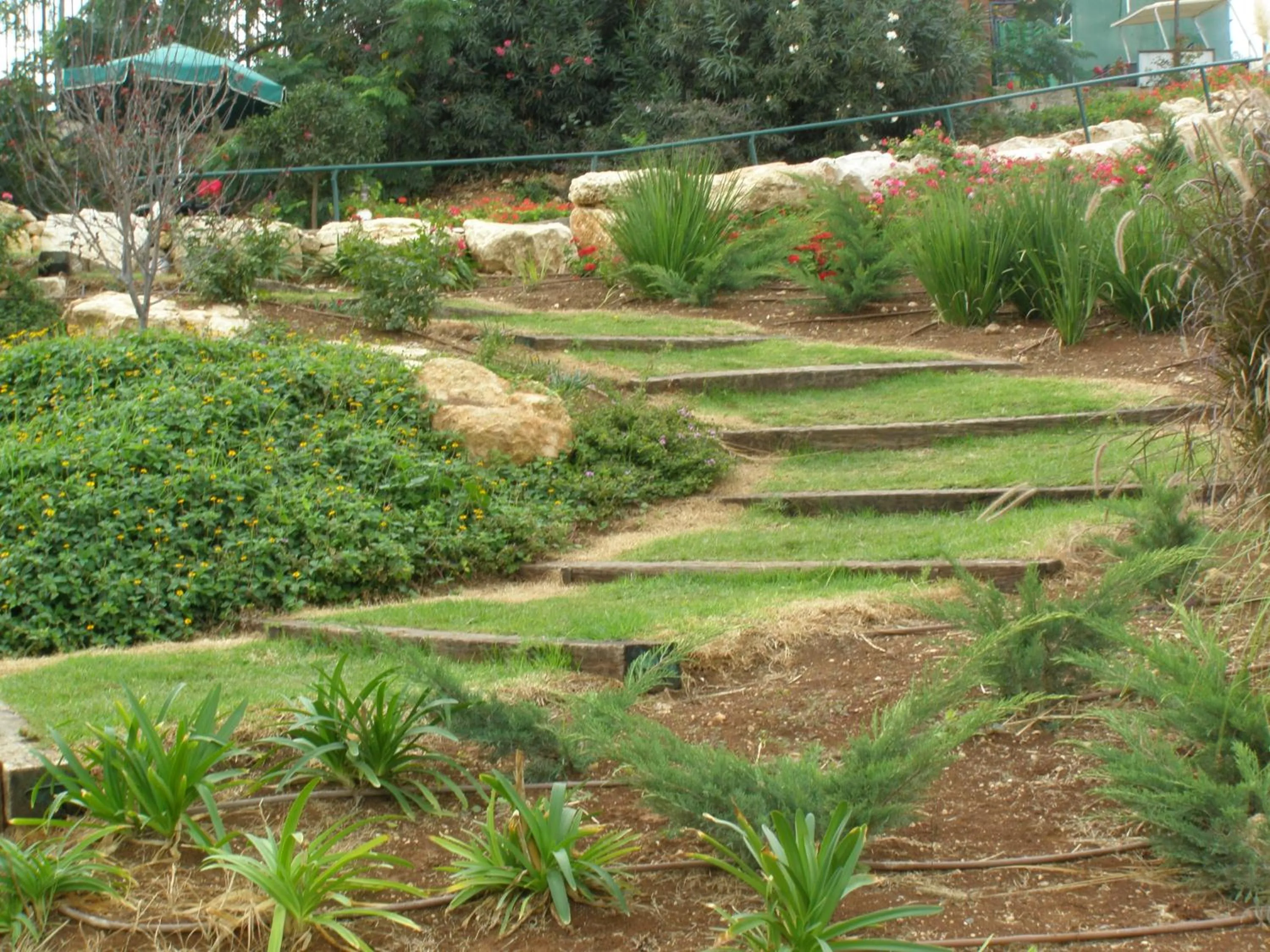 Patio in Shoresh Green Hills