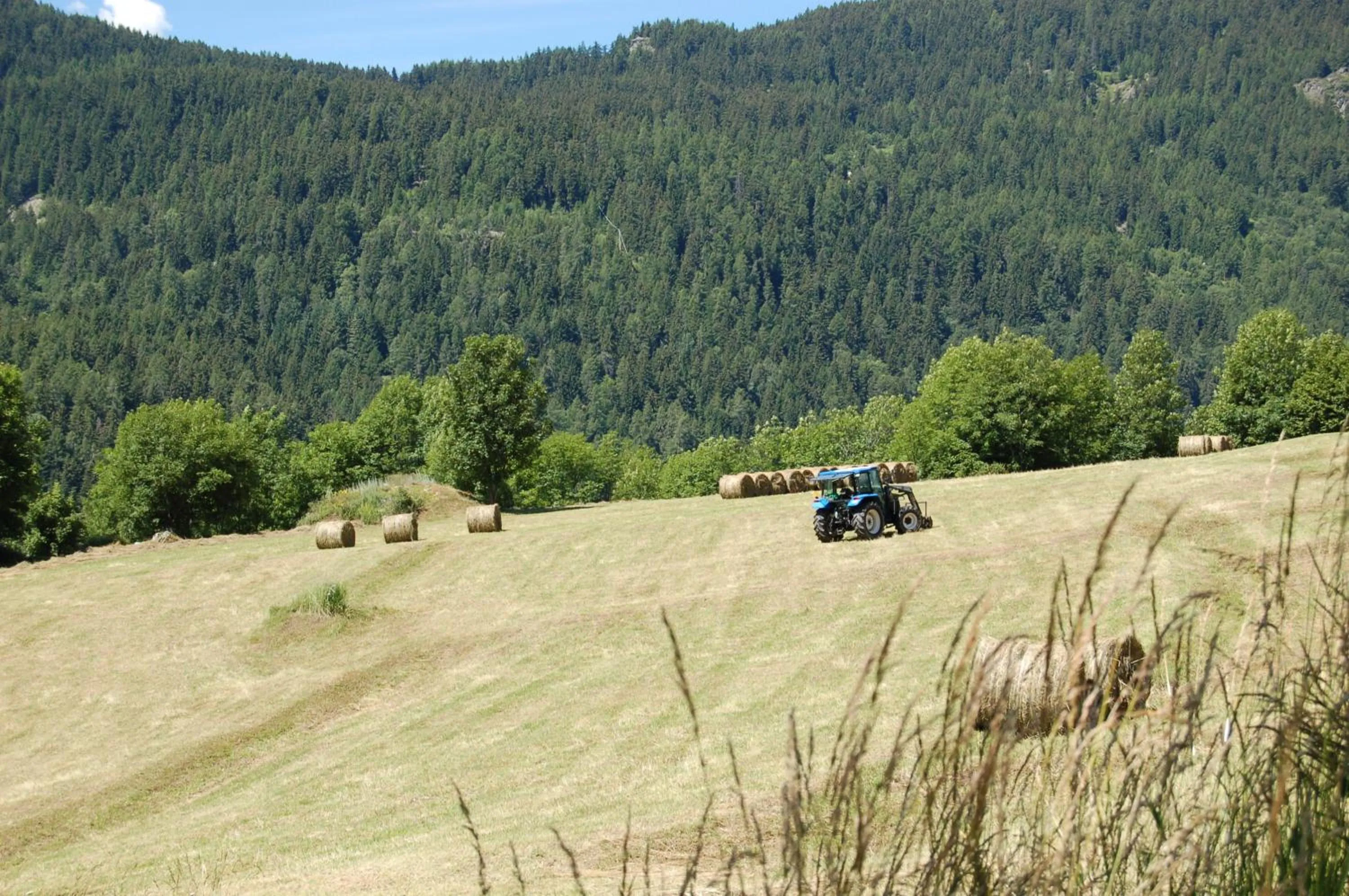 Natural landscape in Aparthotel Foyer d'antan SUITE con caminetto hammam o vasca idromassaggio