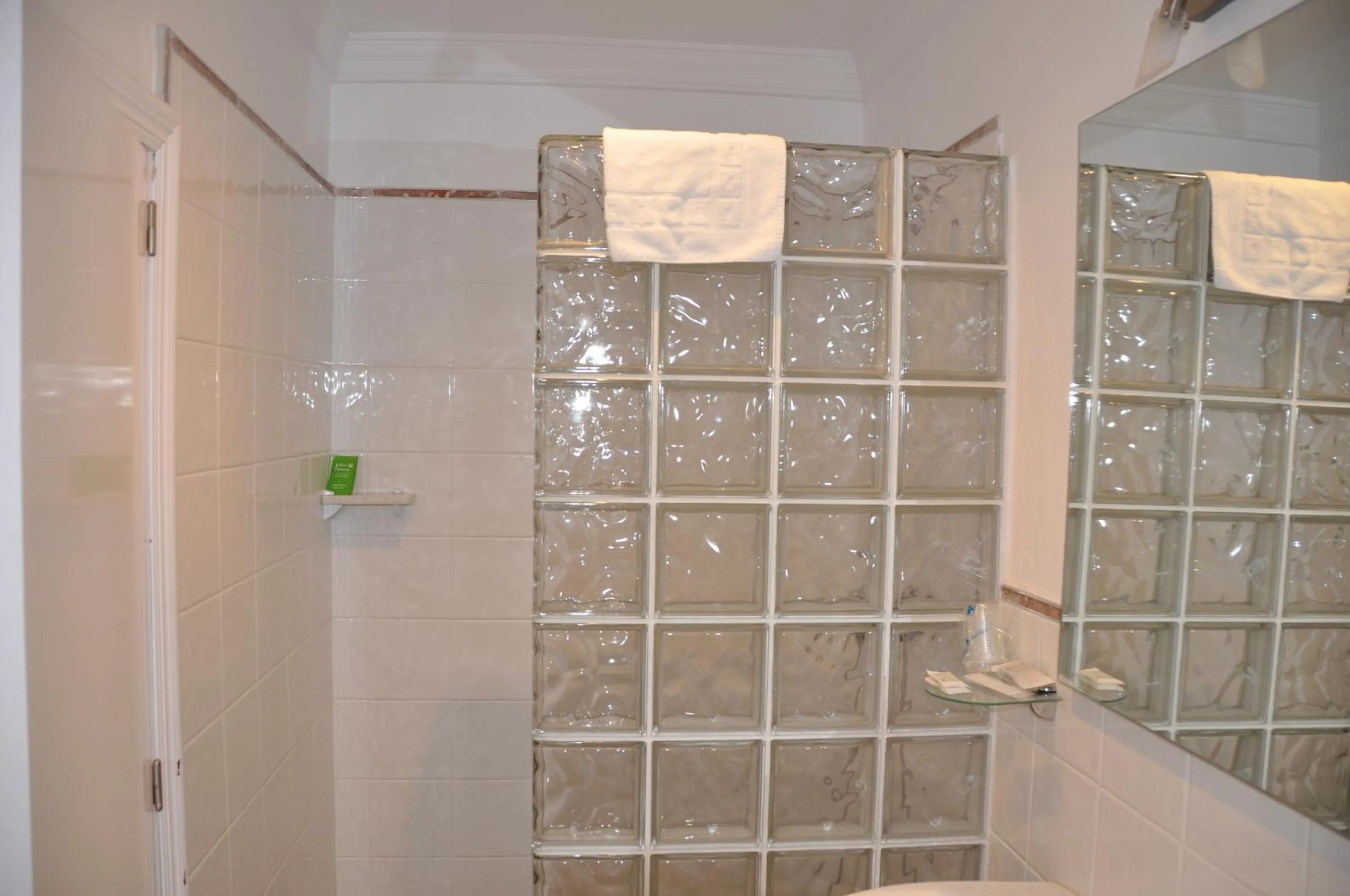 Shower, Bathroom in Hotel Ocurris Ubrique