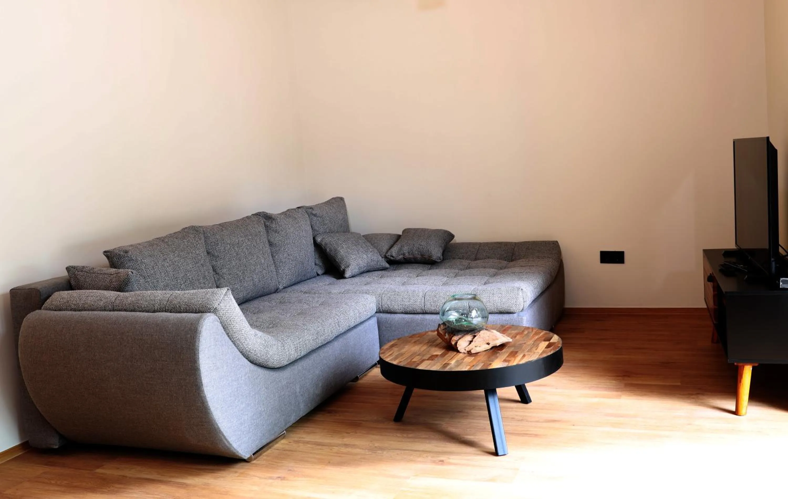 TV and multimedia in JASNA NATUR Resort by the lake