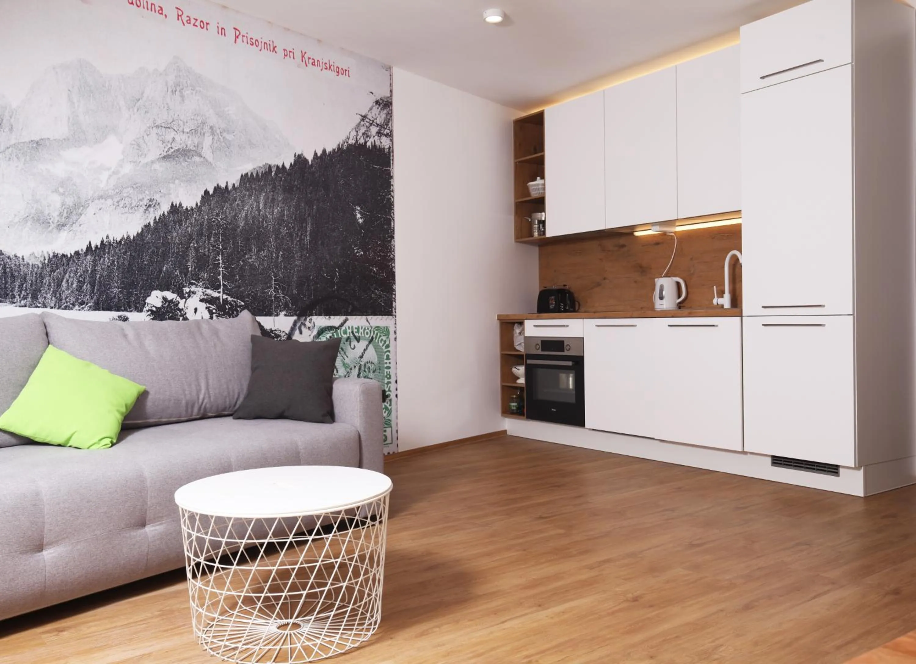 Kitchen or kitchenette in JASNA NATUR Resort by the lake