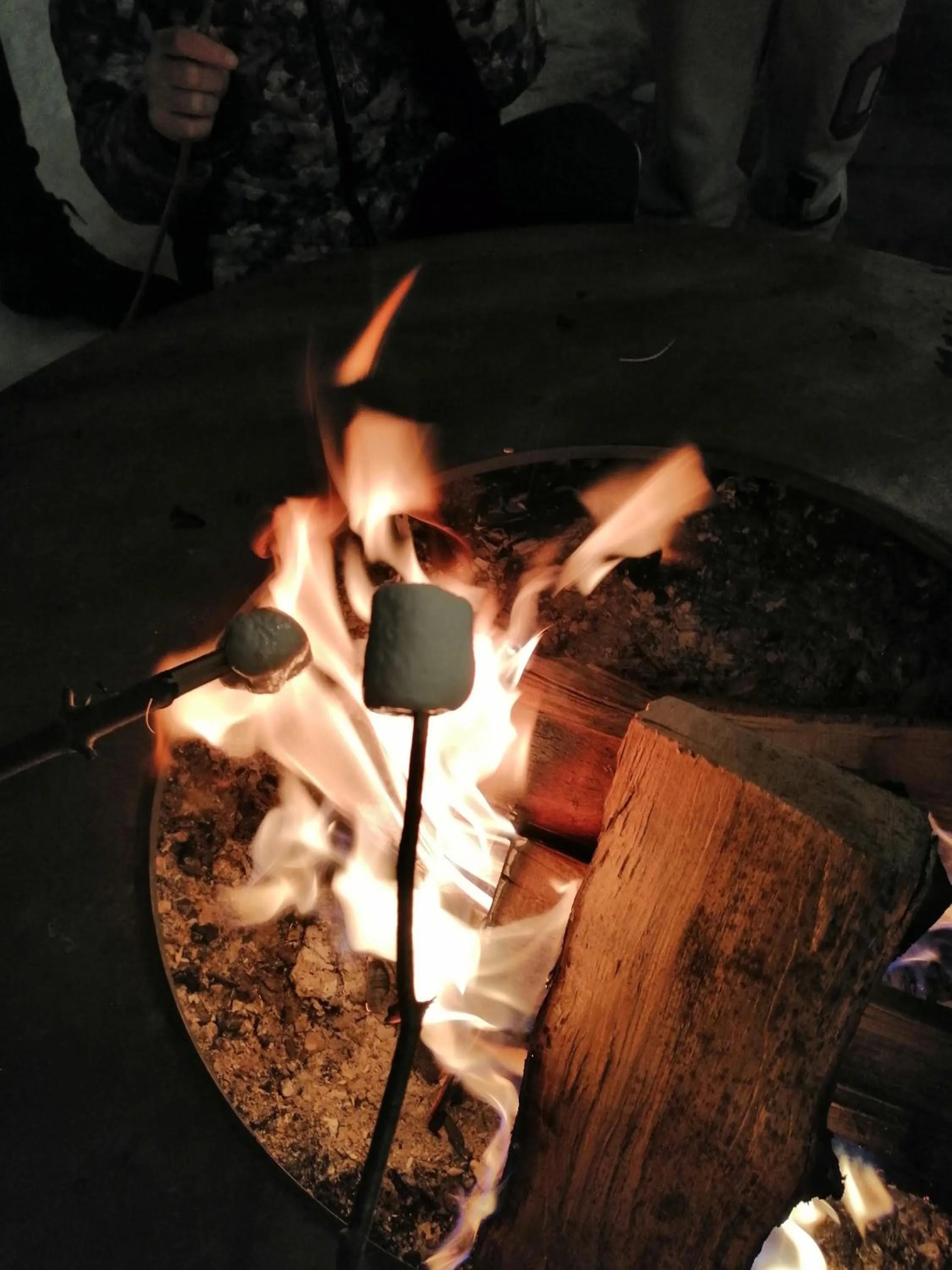 Night in JASNA NATUR Resort by the lake
