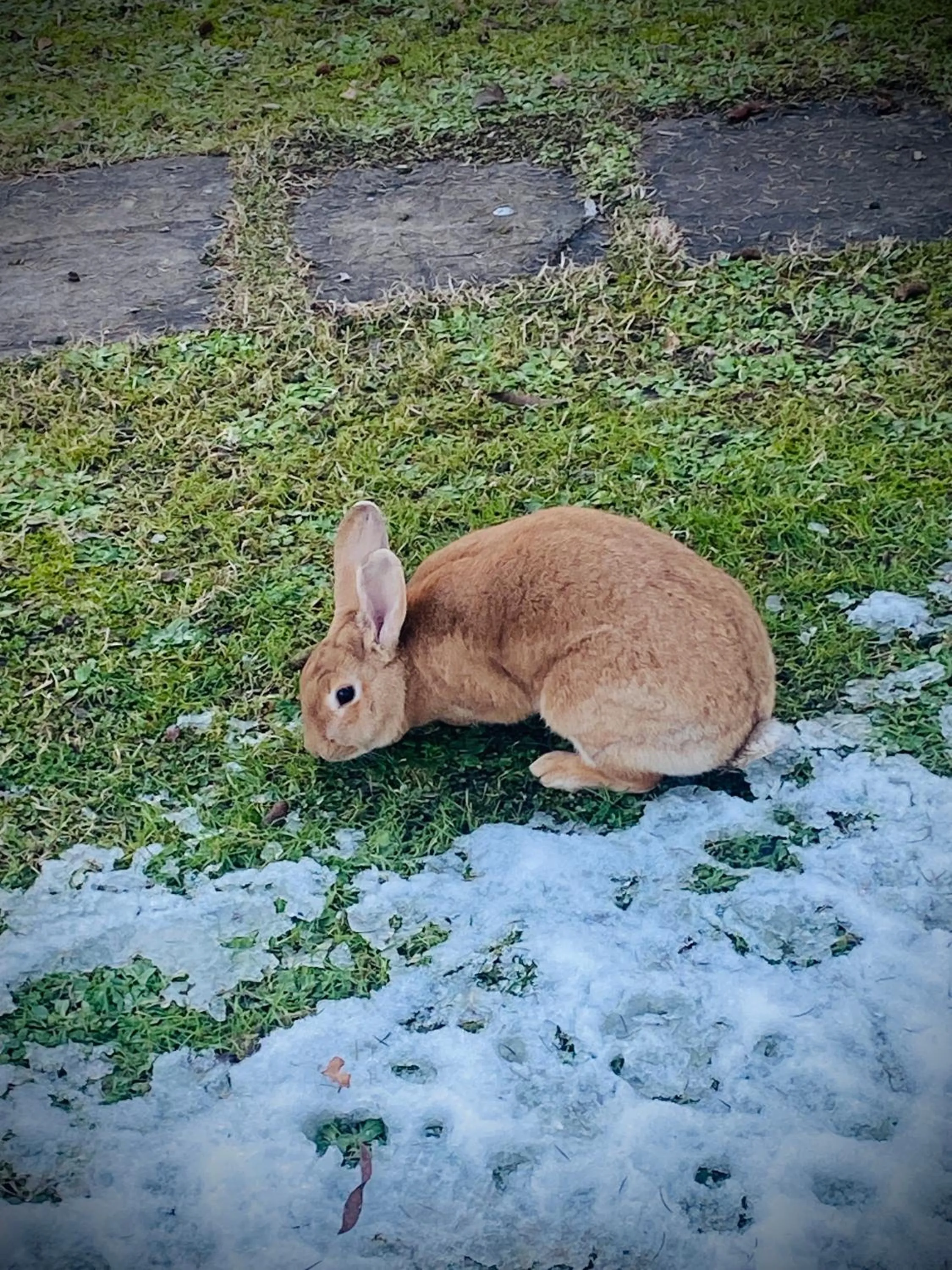 Garden in B&B Mo Va Là