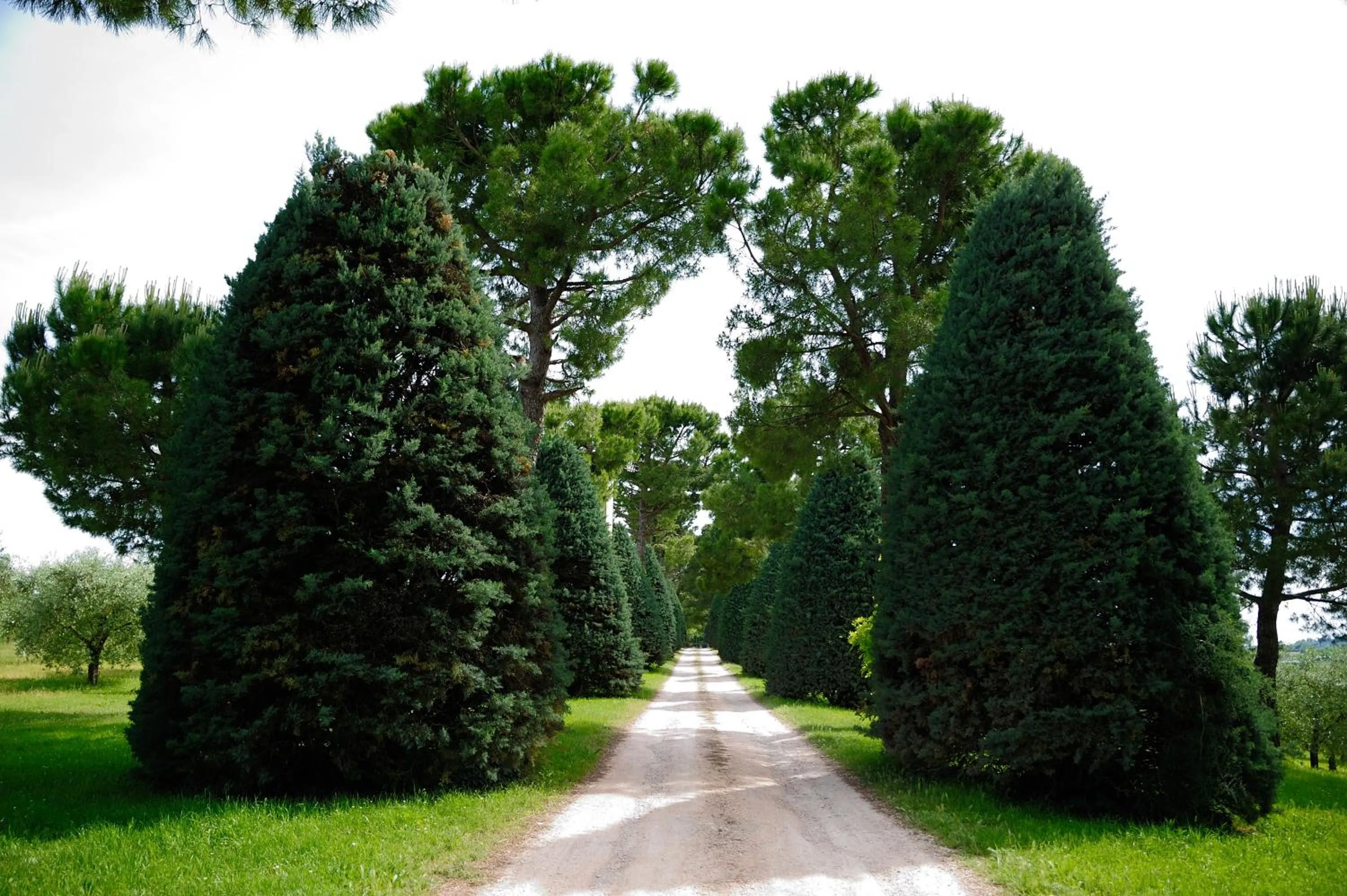 Facade/entrance in Agriturismo al Colle